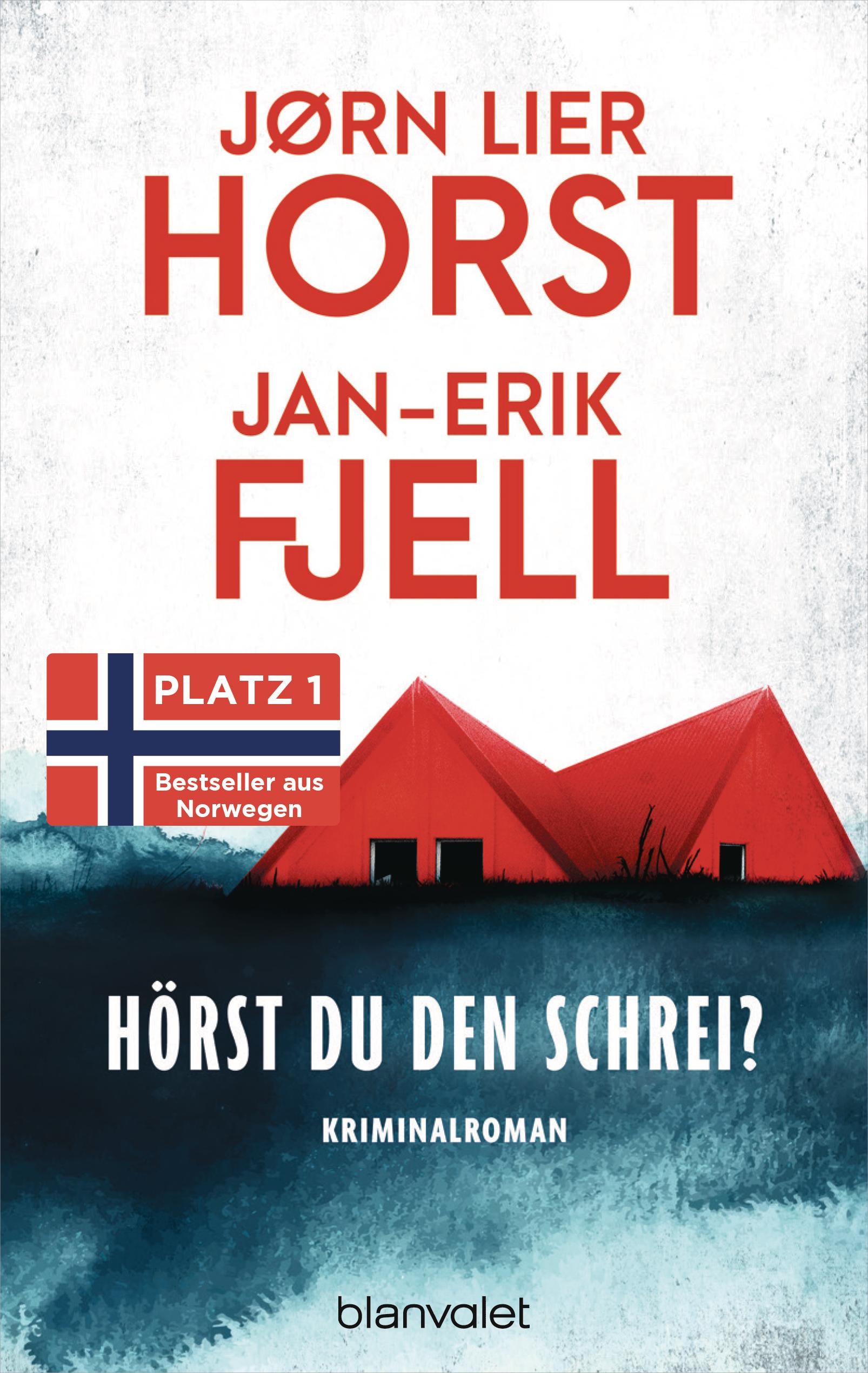 Vorderes Coverbild Hörst du den Schrei?