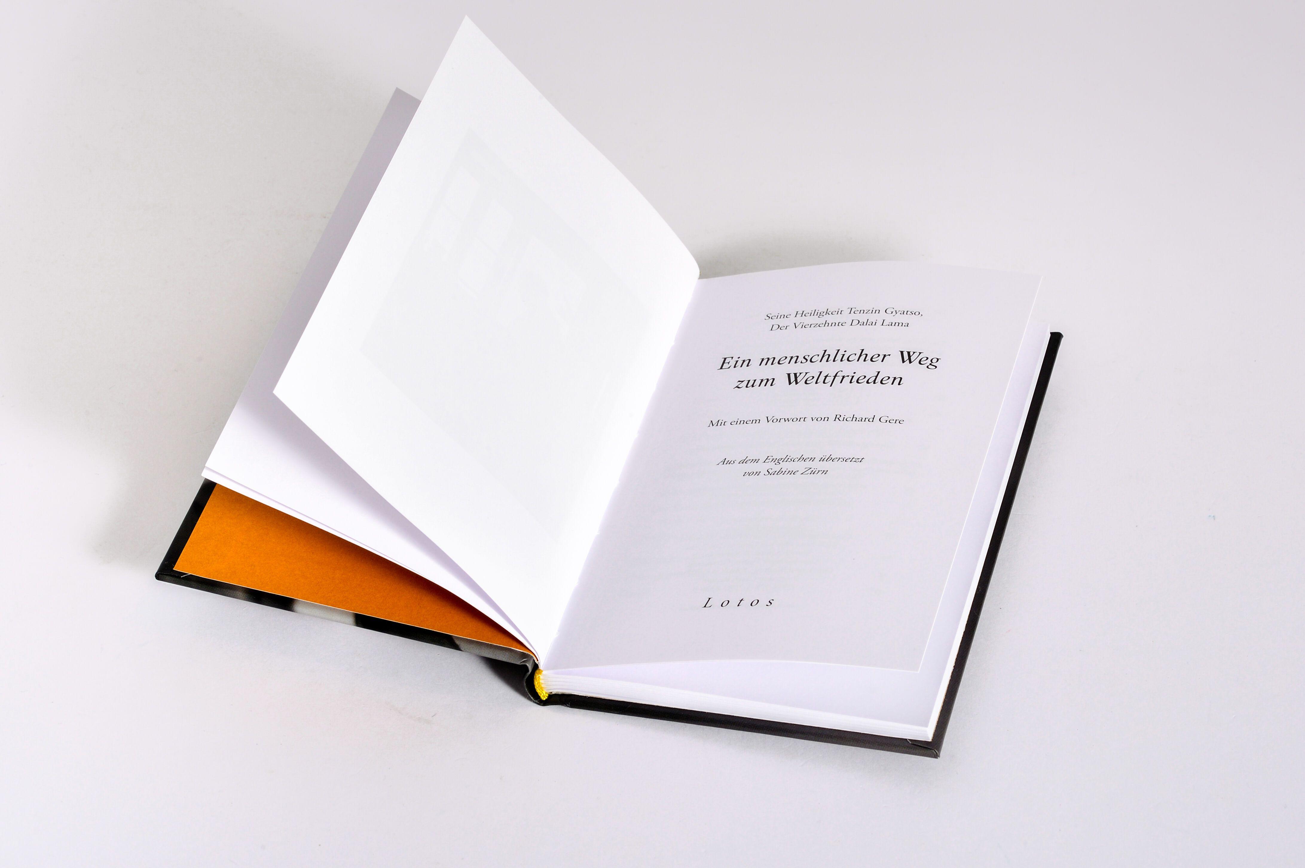 Beispielinhalt (Bild) Ein menschlicher Weg zum Weltfrieden