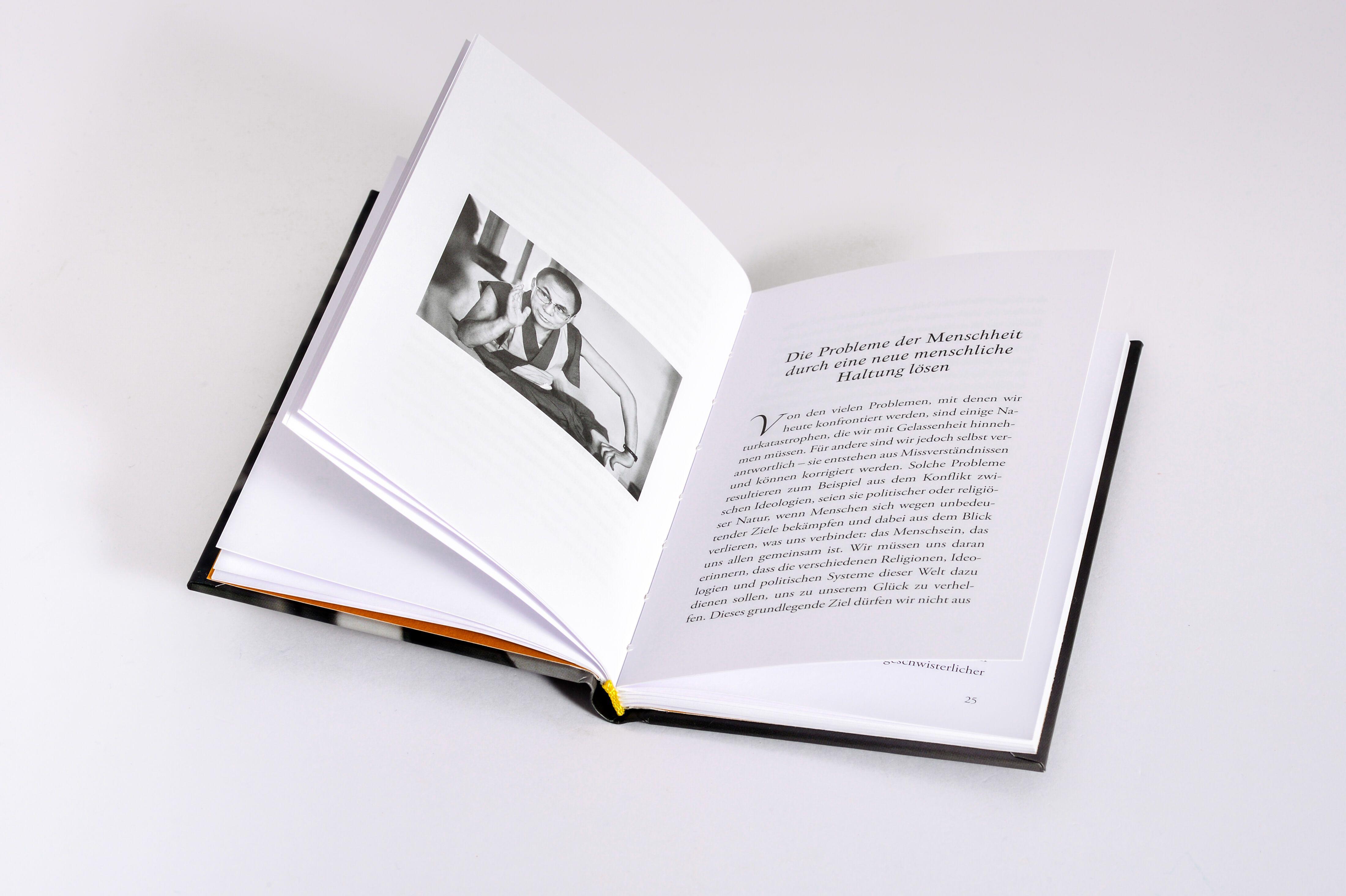 Beispielinhalt (Bild) Ein menschlicher Weg zum Weltfrieden