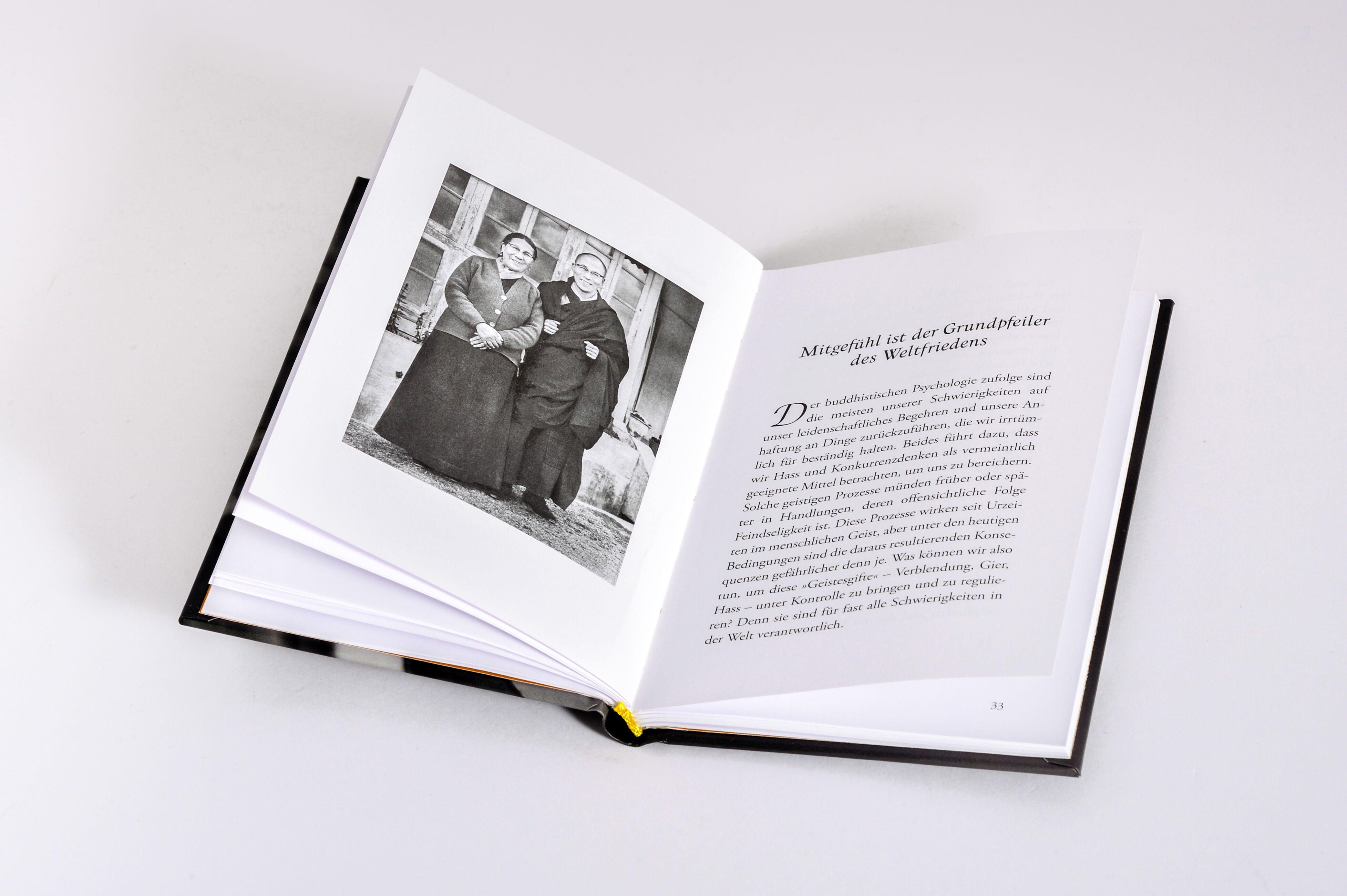 Beispielinhalt (Bild) Ein menschlicher Weg zum Weltfrieden