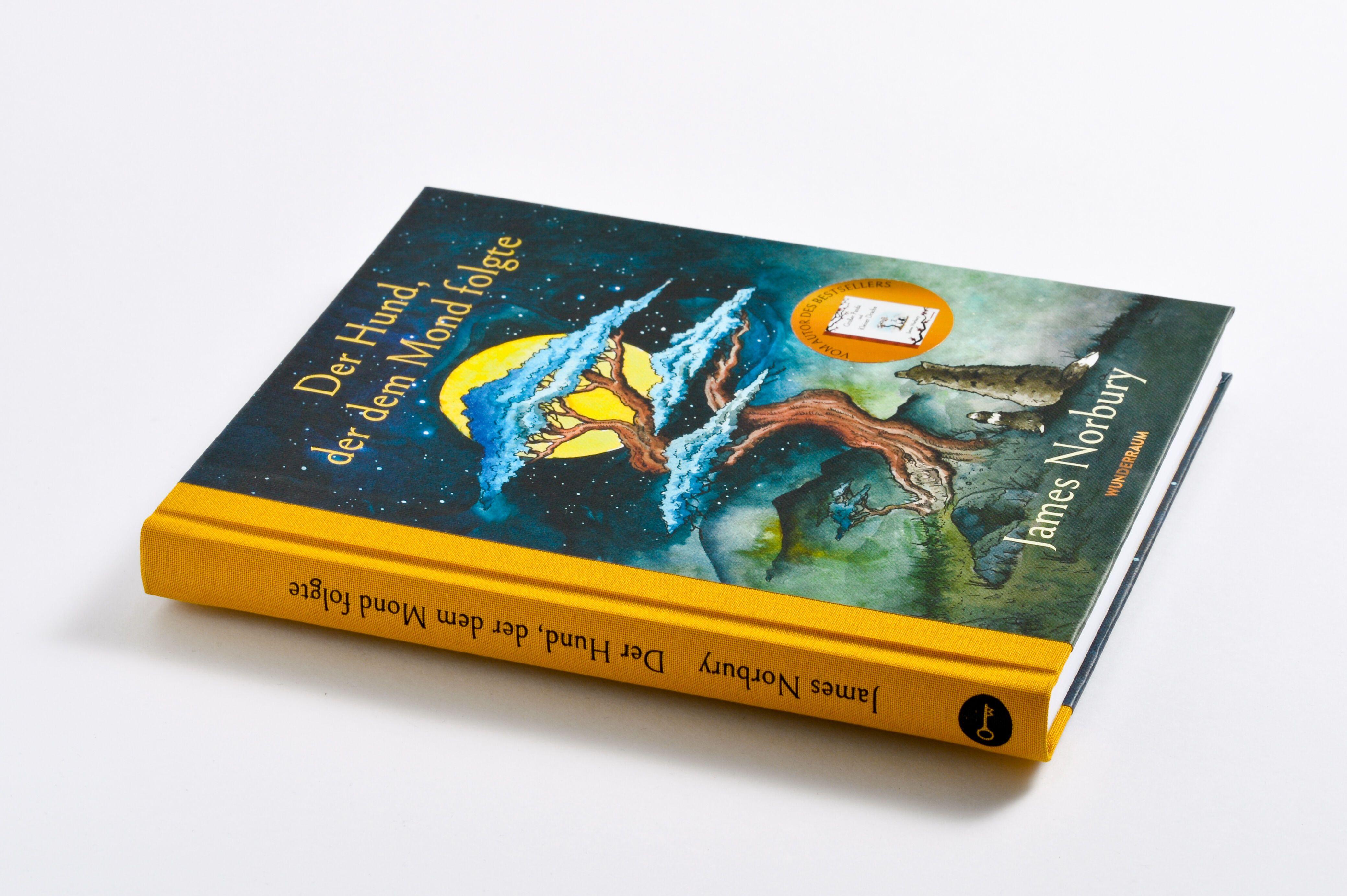 Beispielinhalt (Bild) Der Hund, der dem Mond folgte