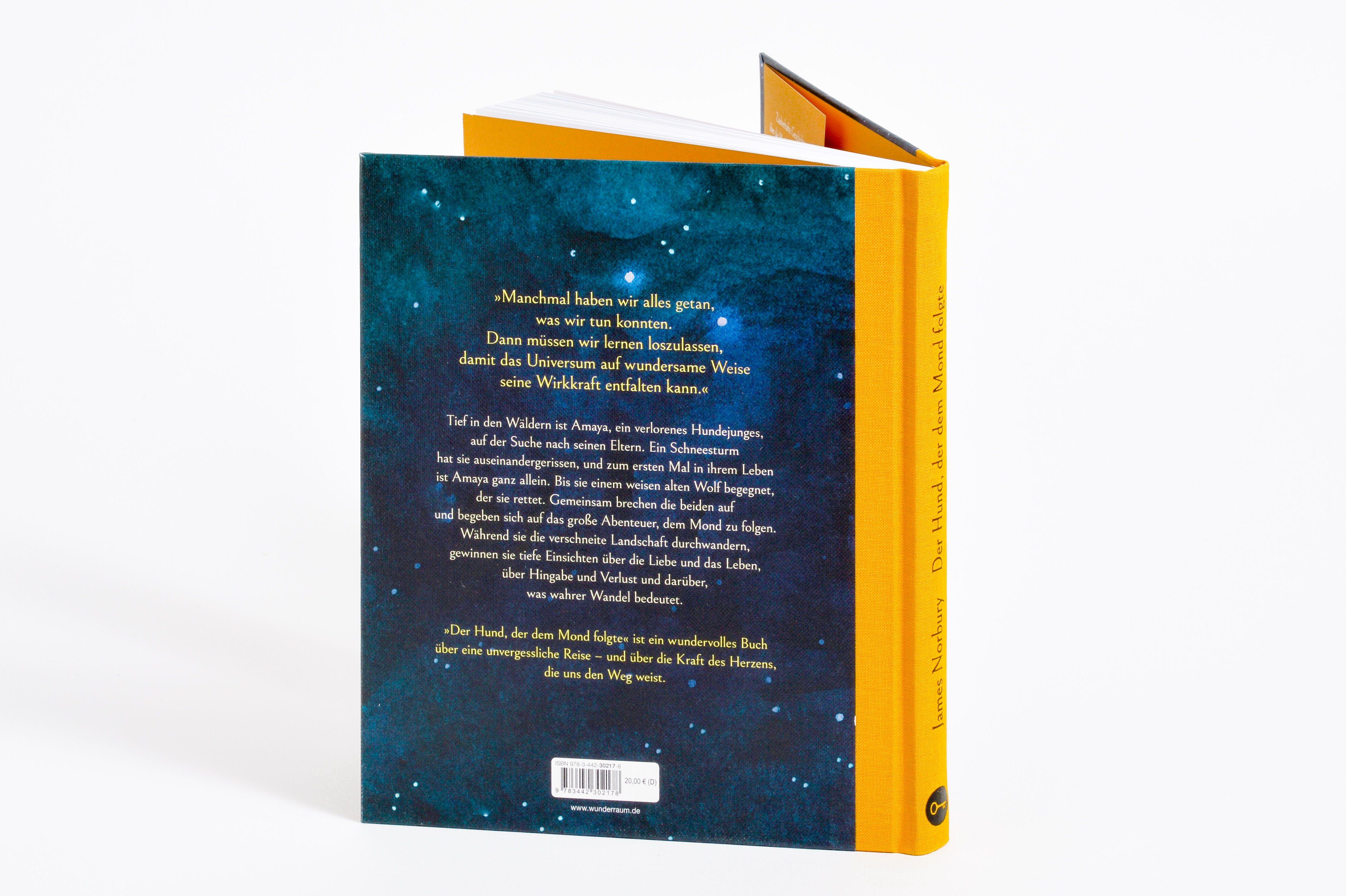 Beispielinhalt (Bild) Der Hund, der dem Mond folgte