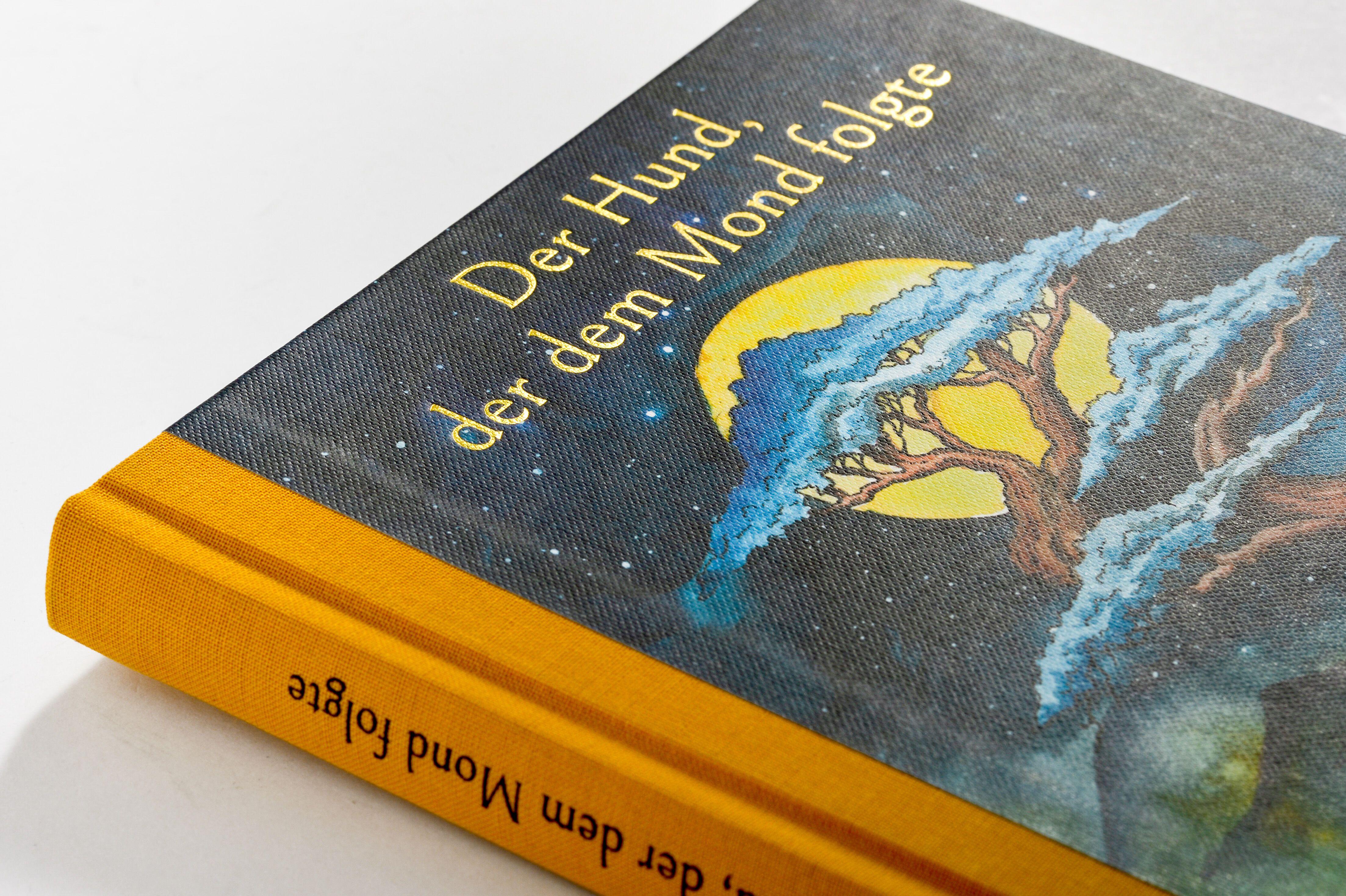 Beispielinhalt (Bild) Der Hund, der dem Mond folgte