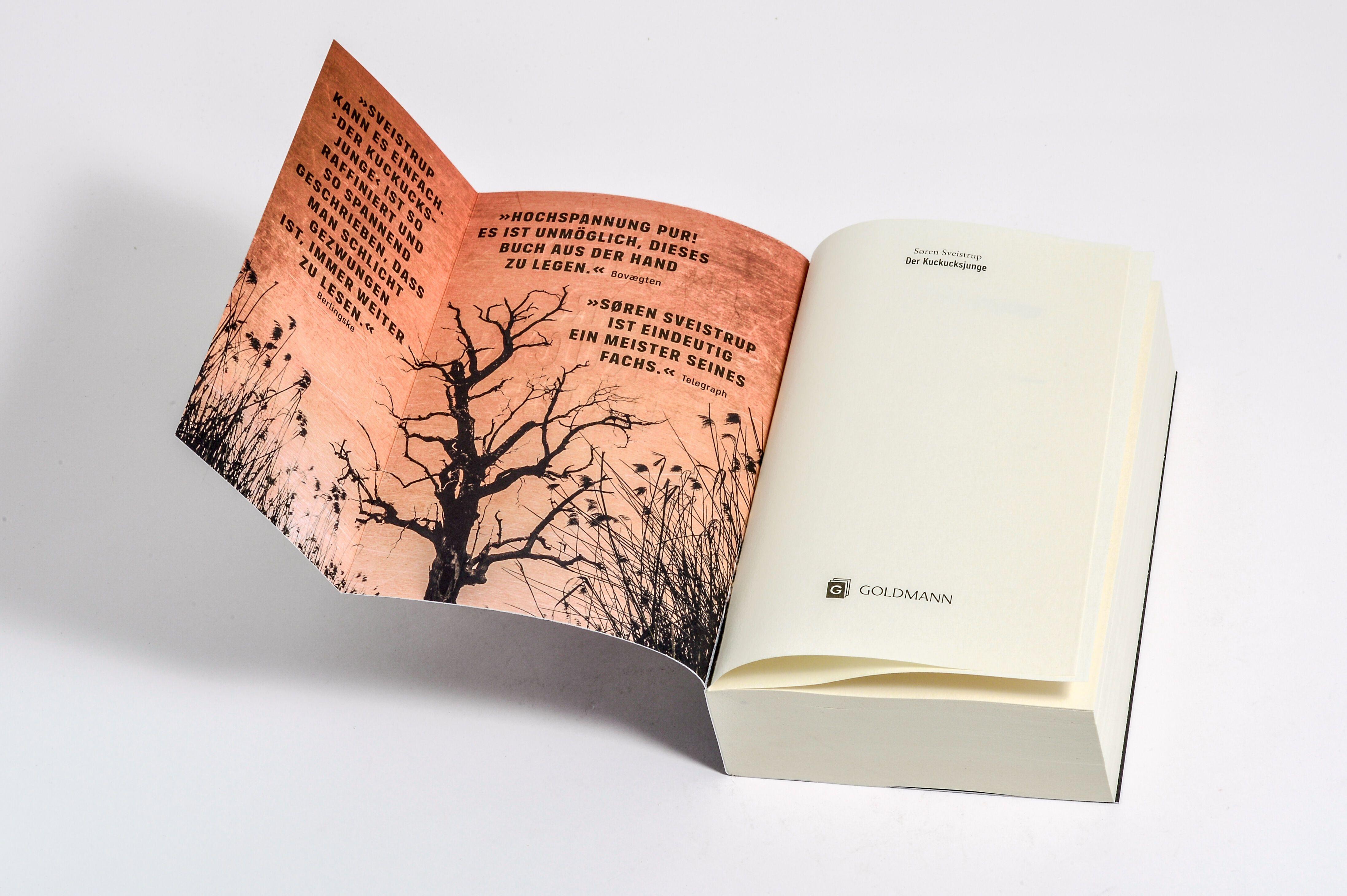 Beispielinhalt (Bild) Der Kuckucksjunge