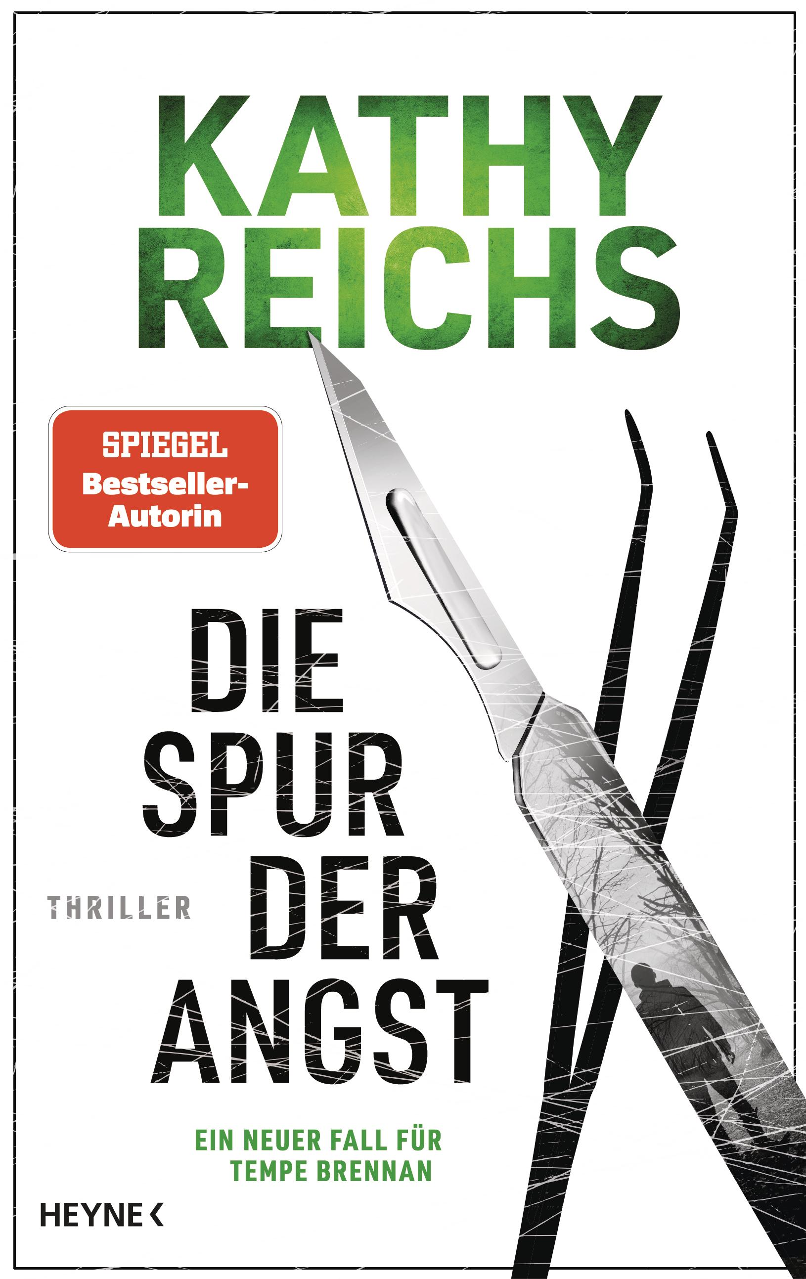 Vorderes Coverbild Die Spur der Angst