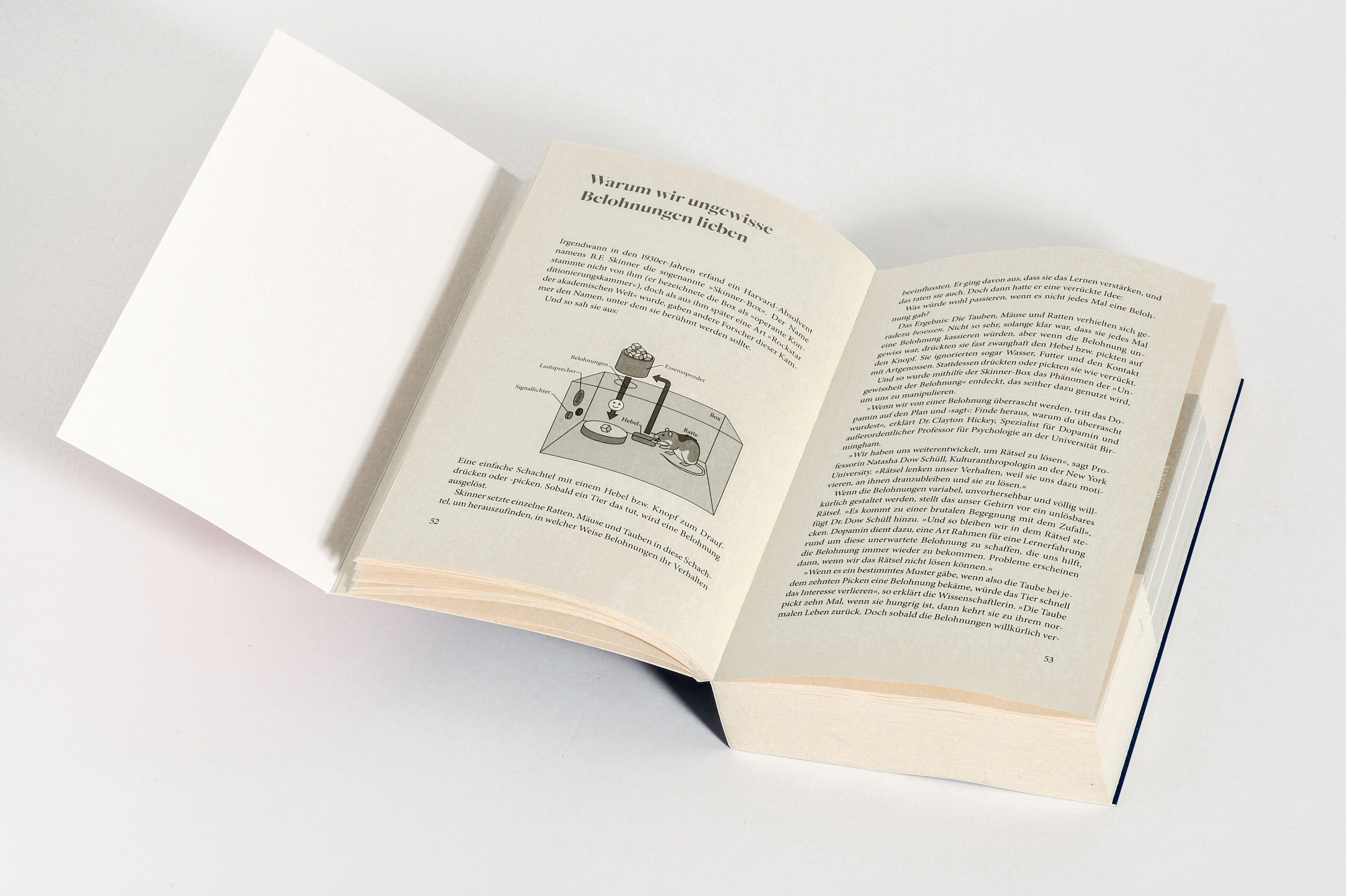 Beispielinhalt (Bild) Little Addictions