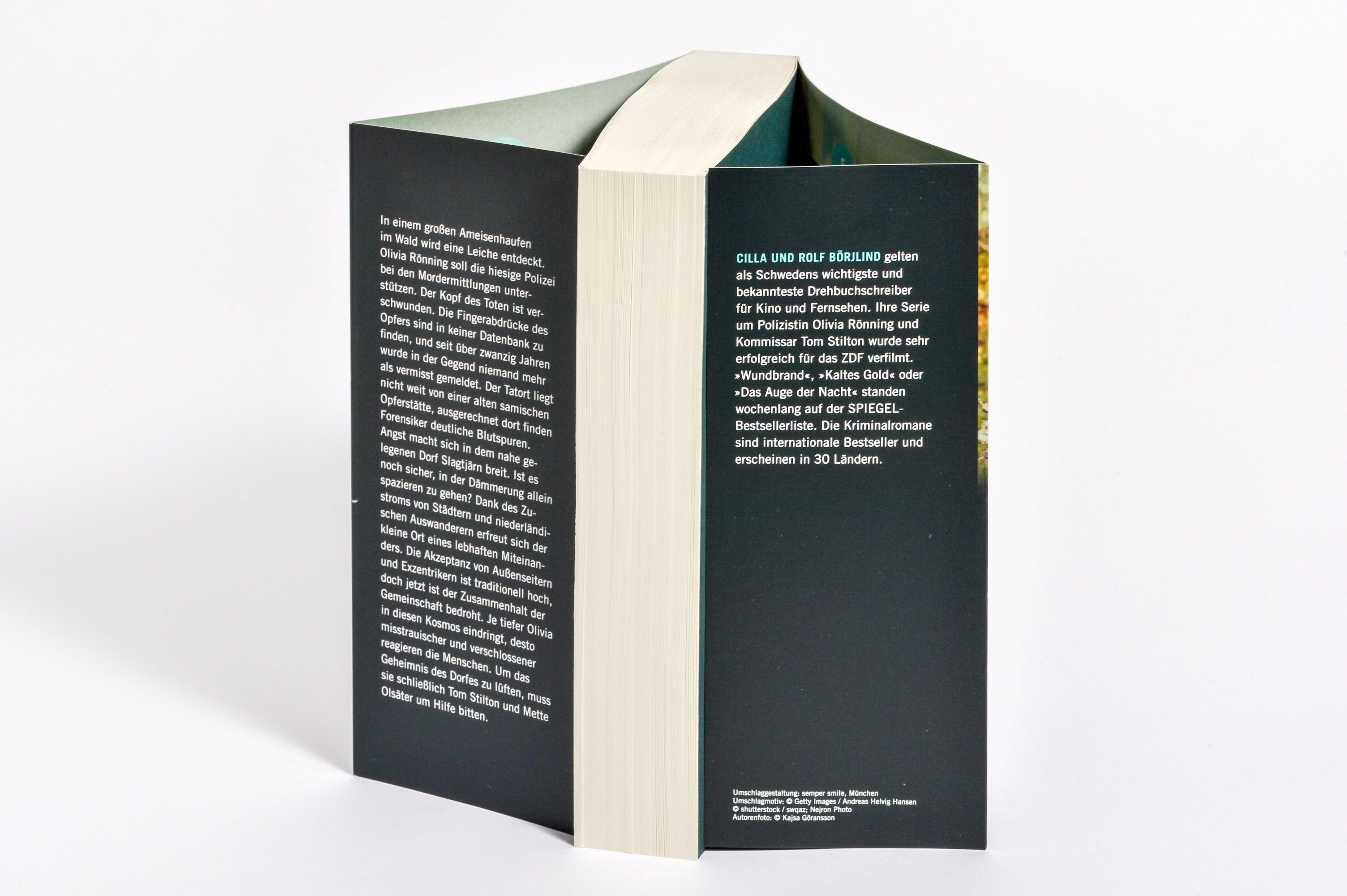 Beispielinhalt (Bild) Schatten über dem Wald