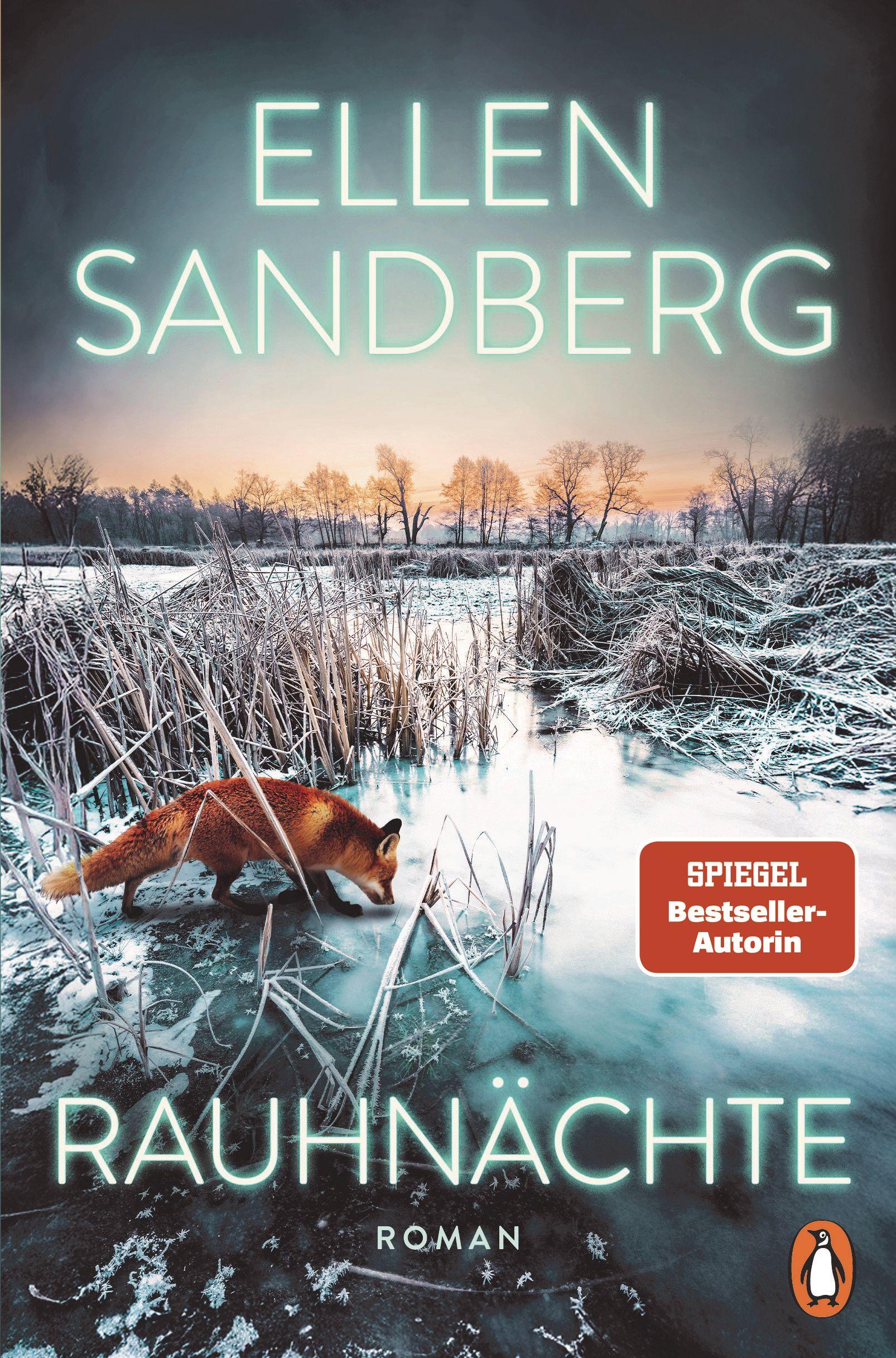Vorderes Coverbild Rauhnächte