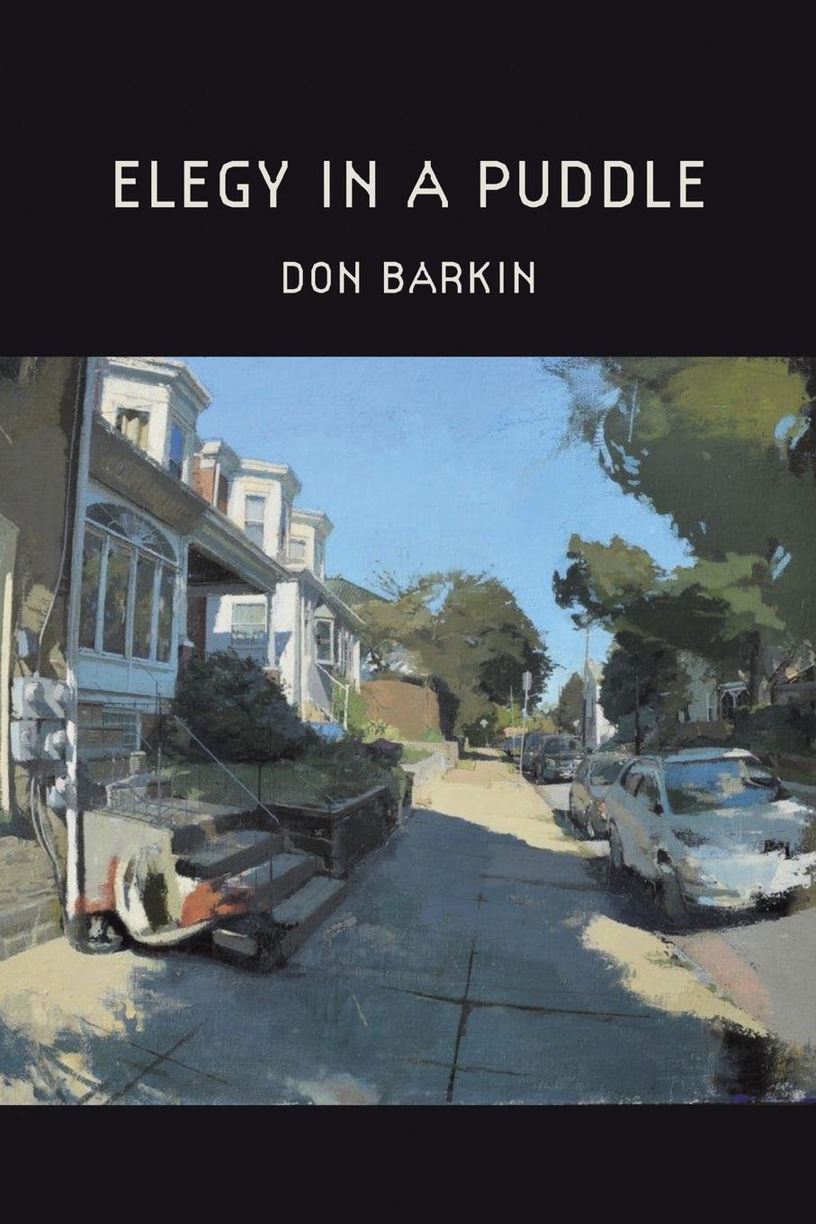 Vorderes Coverbild Elegy in a Puddle