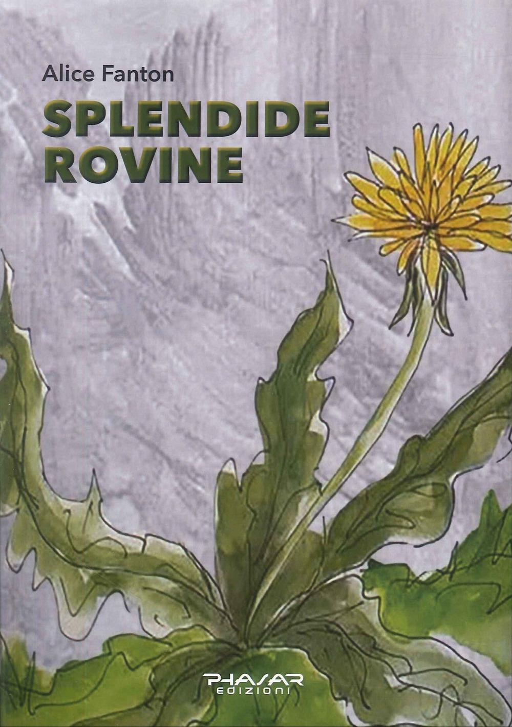 Vorderes Coverbild Splendide rovine