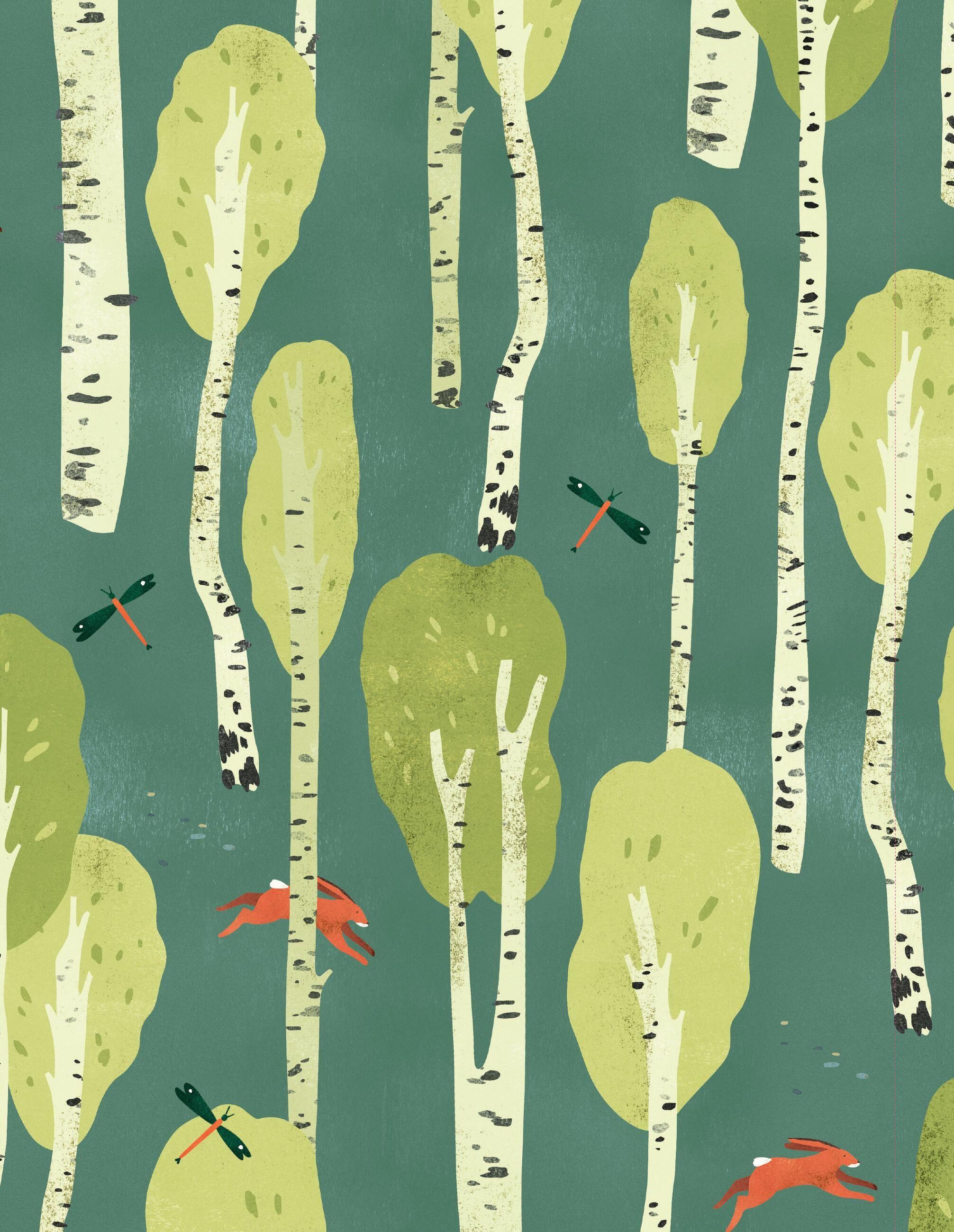 Beispielinhalt (Bild) Paper Book for Nature Lovers