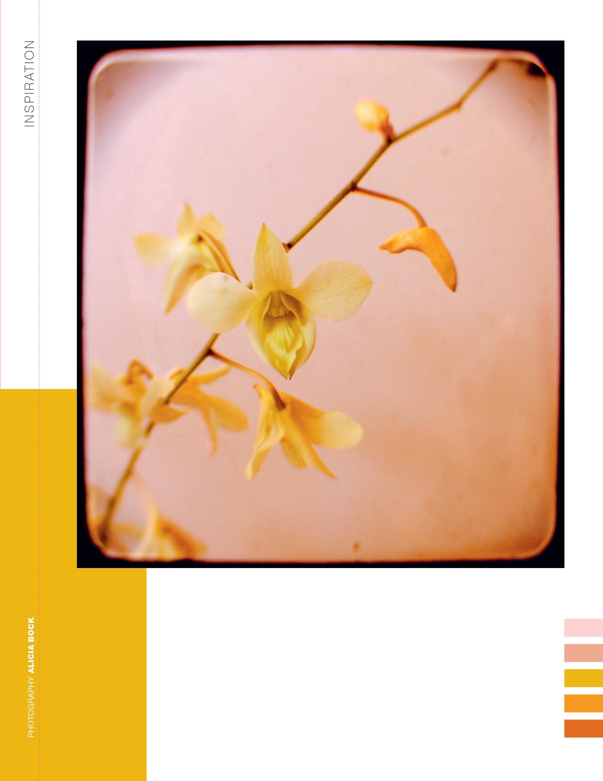 Beispielinhalt (Bild) Paper Book for Nature Lovers