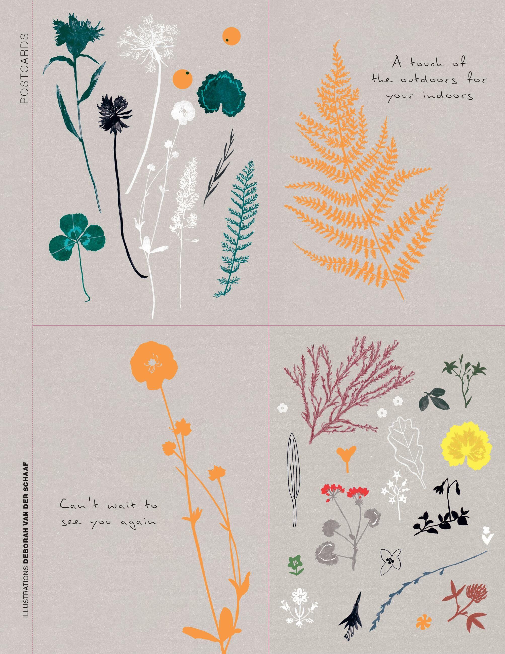 Beispielinhalt (Bild) Paper Book for Nature Lovers