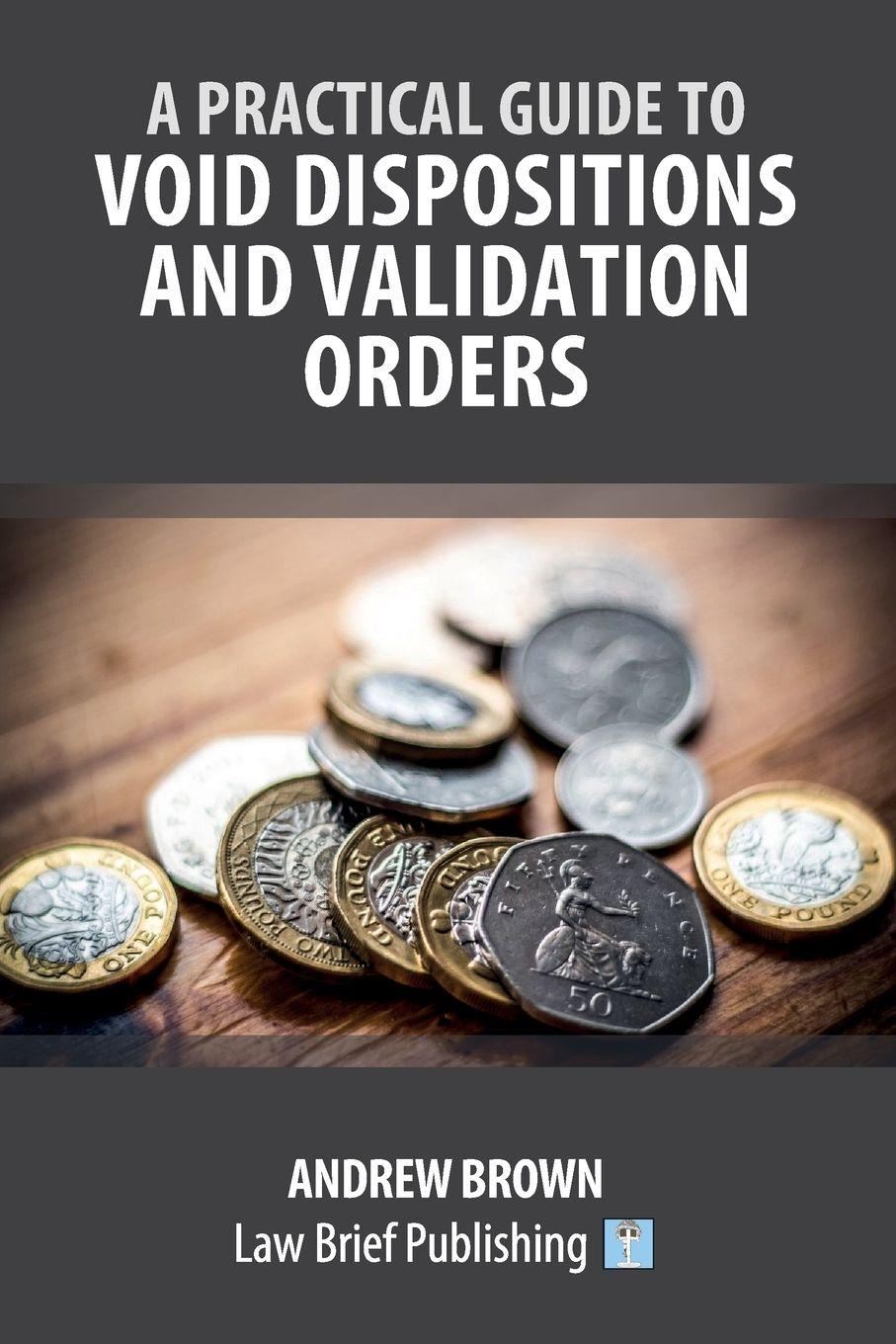 Vorderes Coverbild A Practical Guide to Void Dispositions and Validation Orders