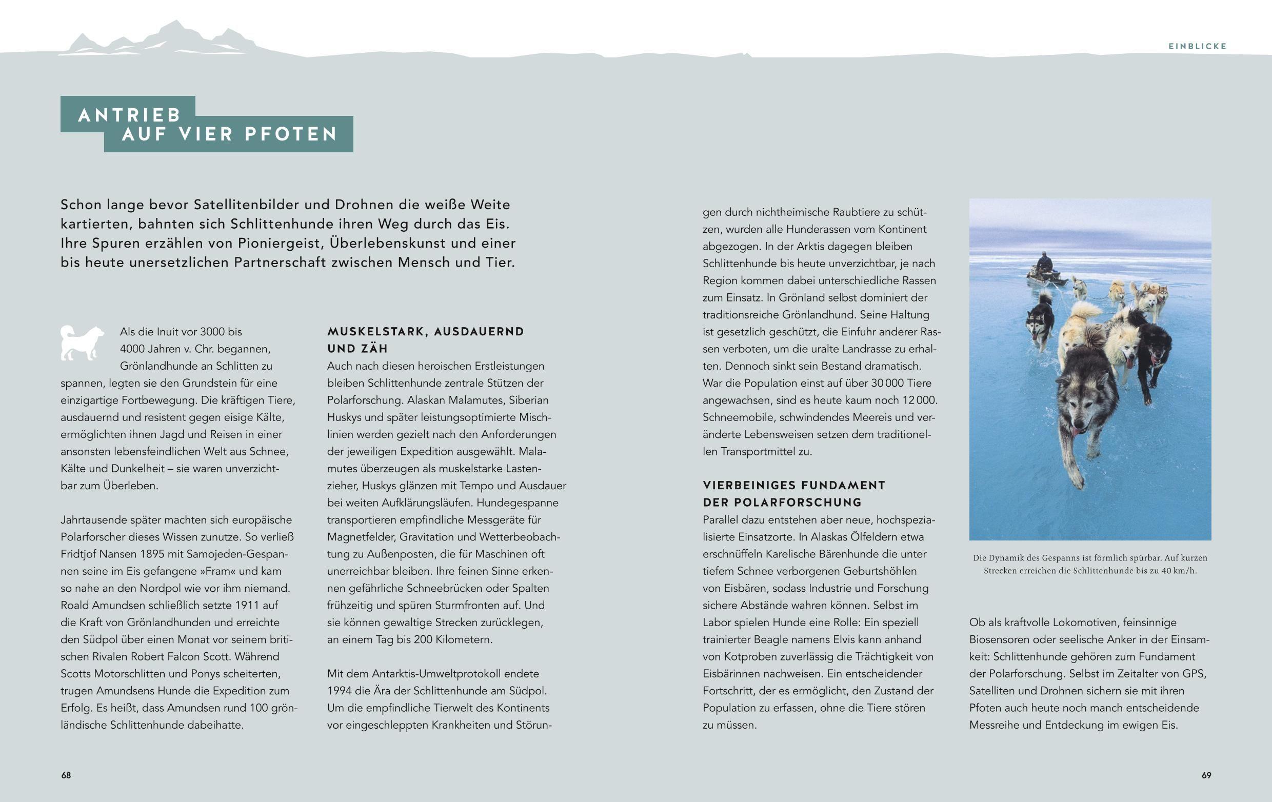 Beispielinhalt (Bild) Meine Arktis