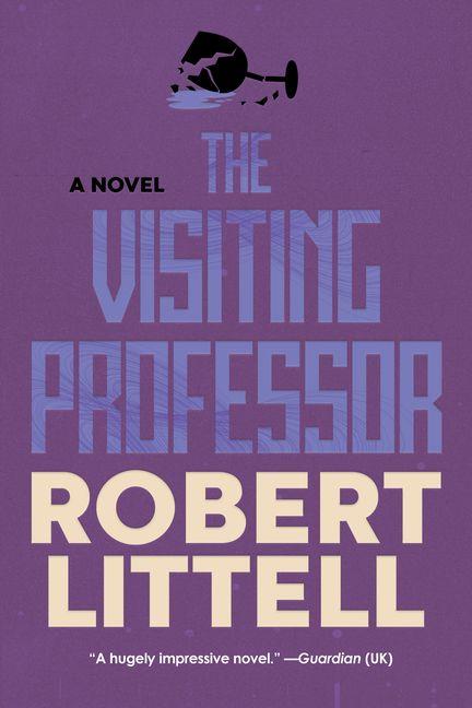 Vorderes Coverbild The Visiting Professor