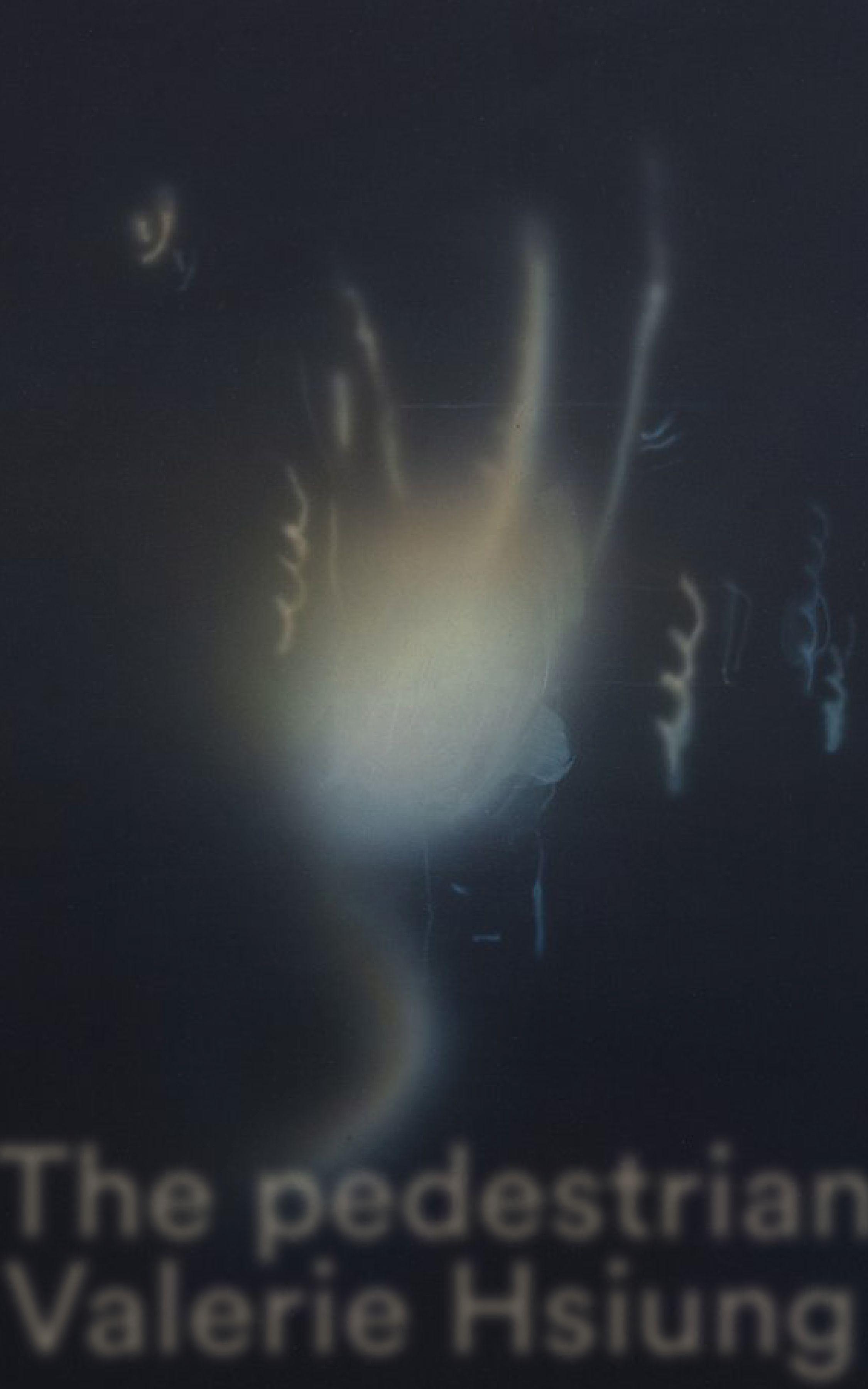 Vorderes Coverbild The Pedestrian