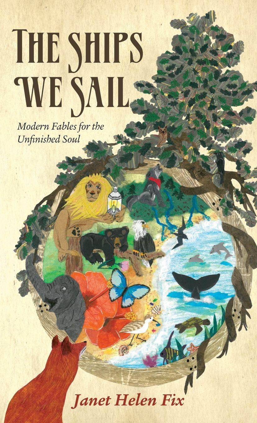 Vorderes Coverbild The Ships We Sail