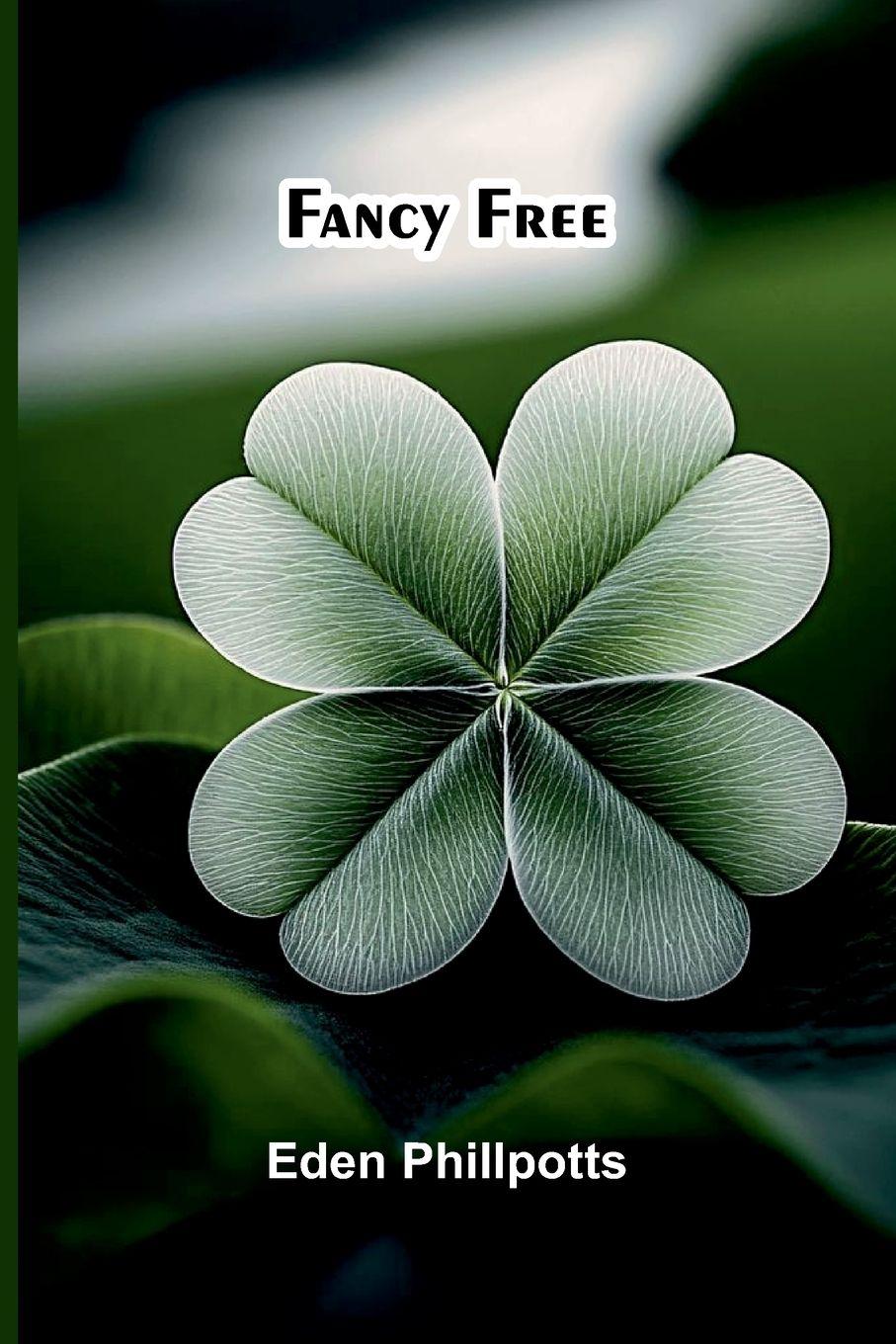 Vorderes Coverbild Fancy free