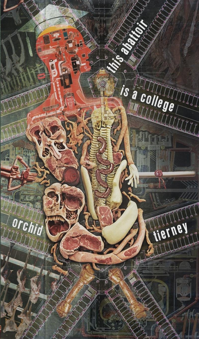 Vorderes Coverbild this abattoir is a college