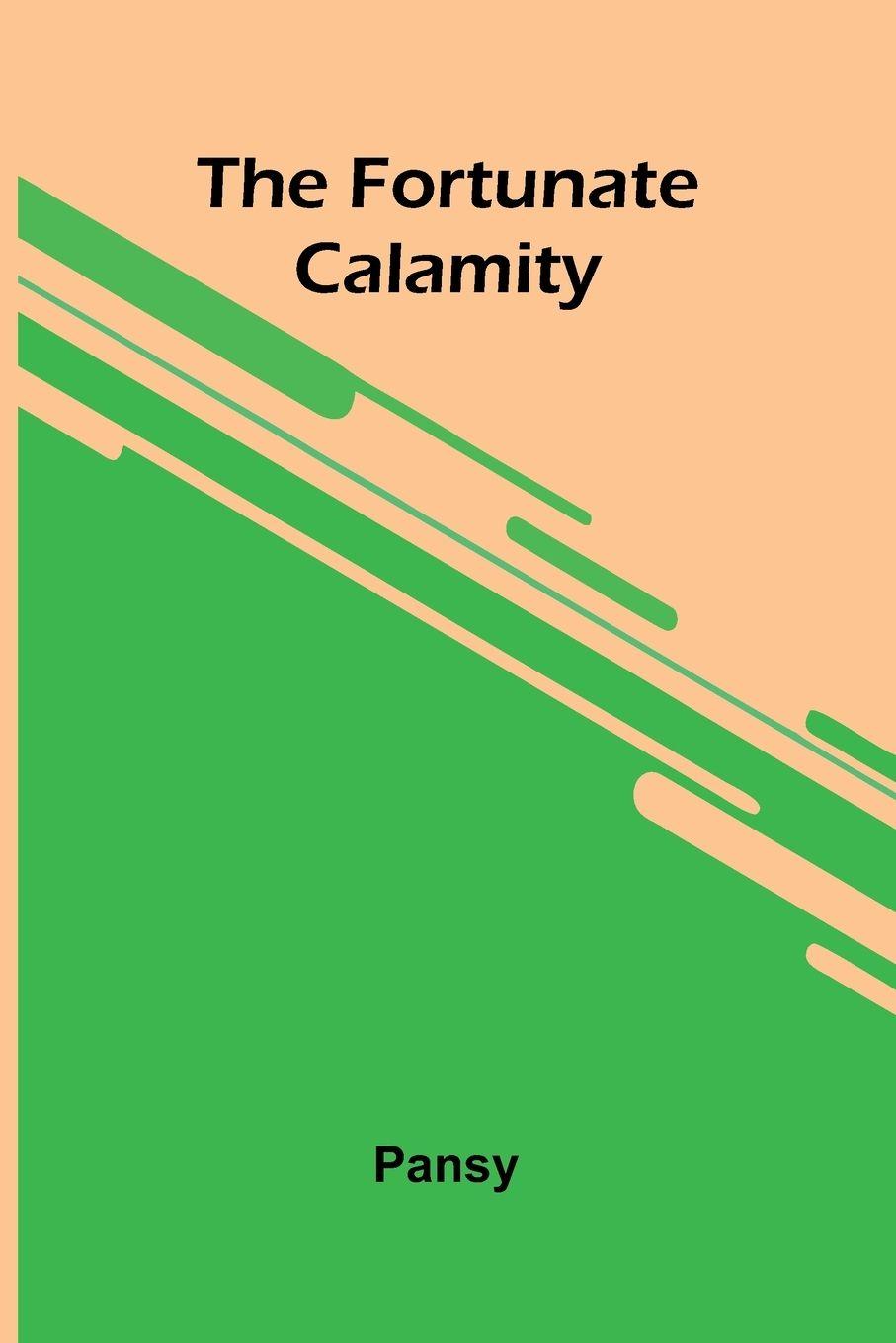 Vorderes Coverbild The fortunate calamity