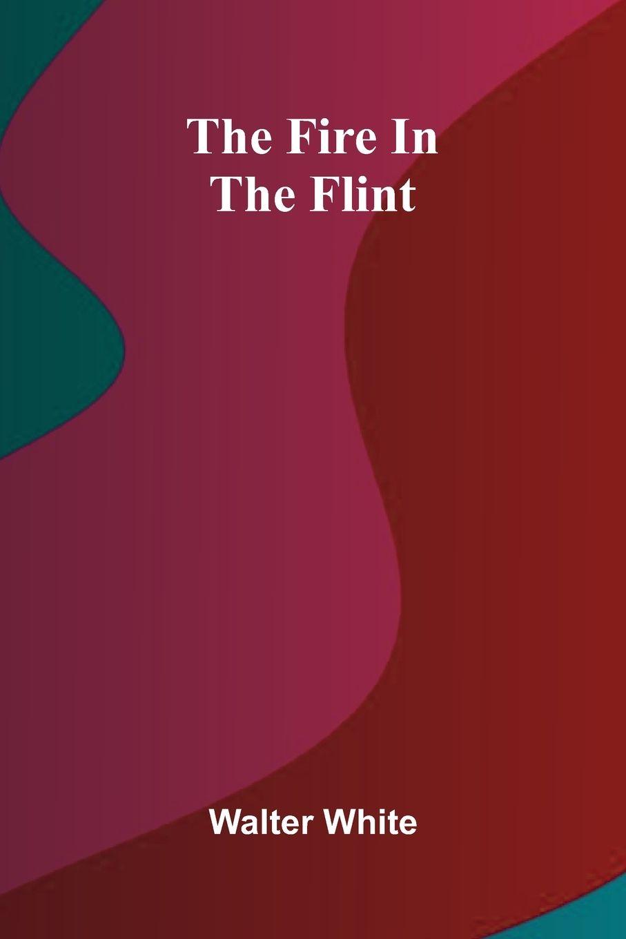 Vorderes Coverbild The fire in the flint