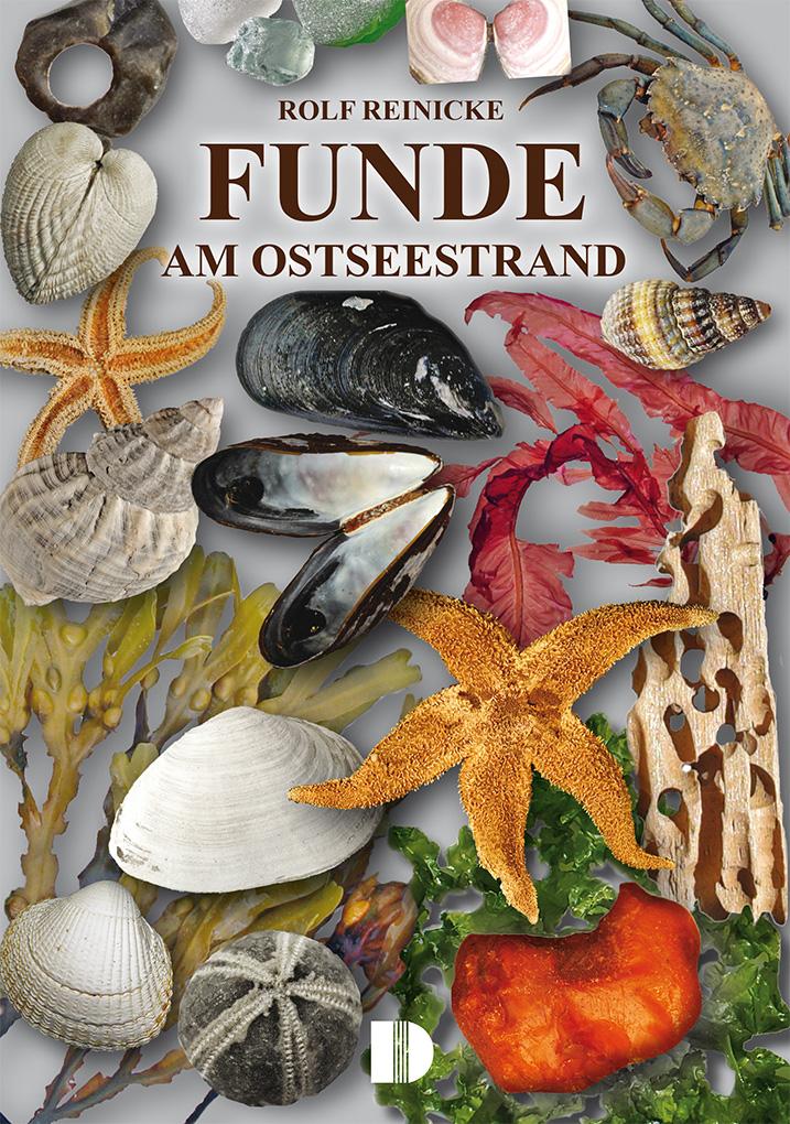 Vorderes Coverbild Funde am Ostseestrand