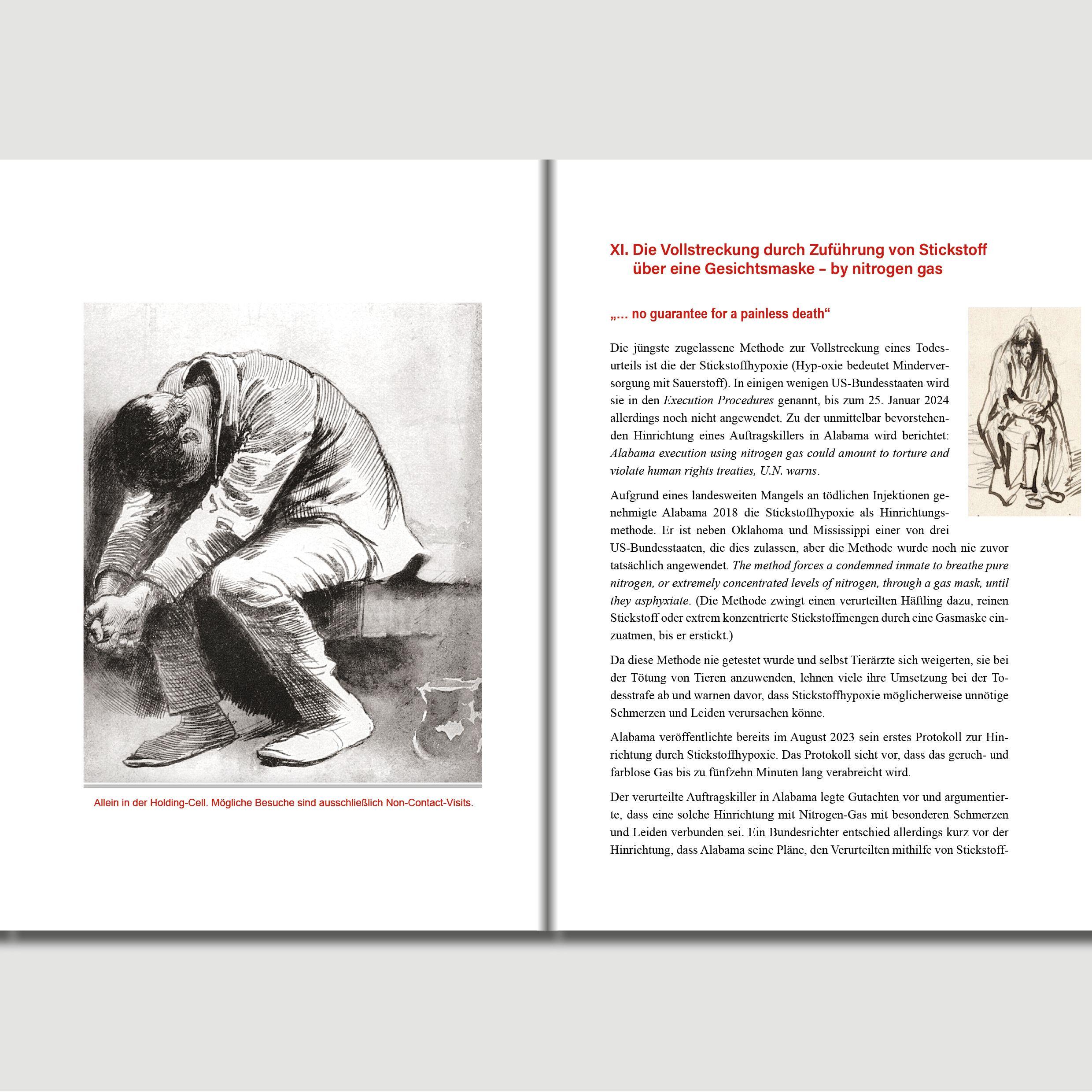 Beispielinhalt (Bild) Hinrichtung Missglückt...