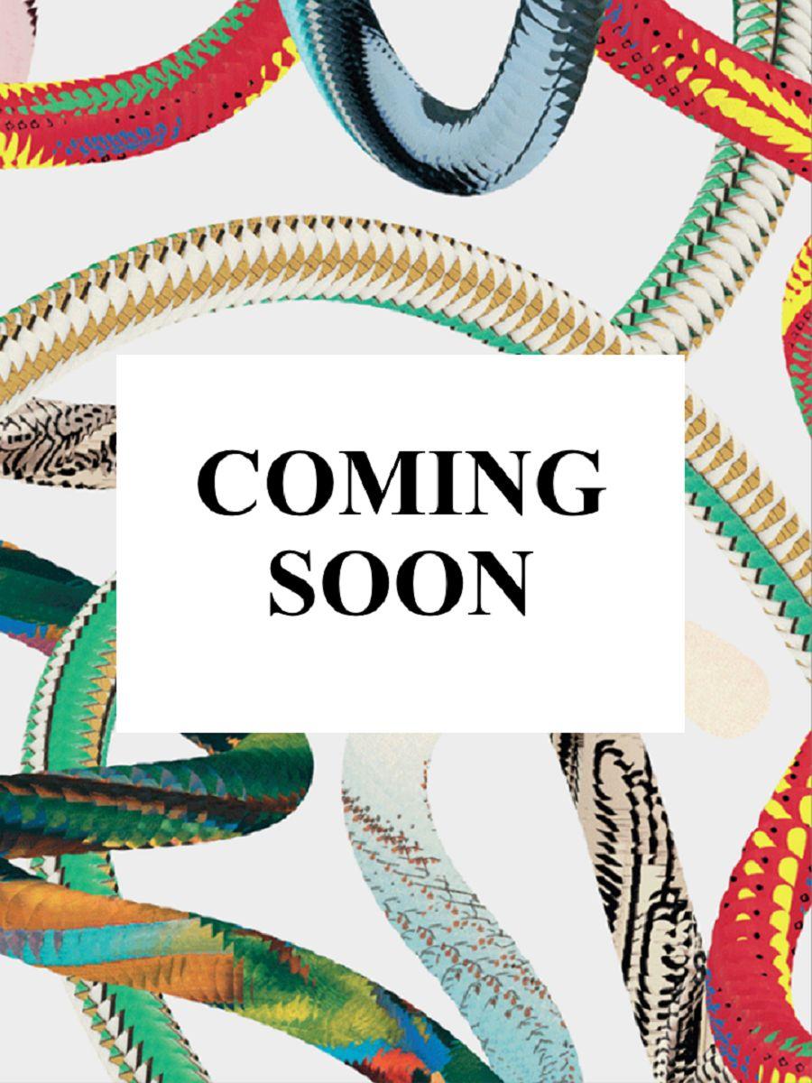 Vorderes Coverbild Fairies