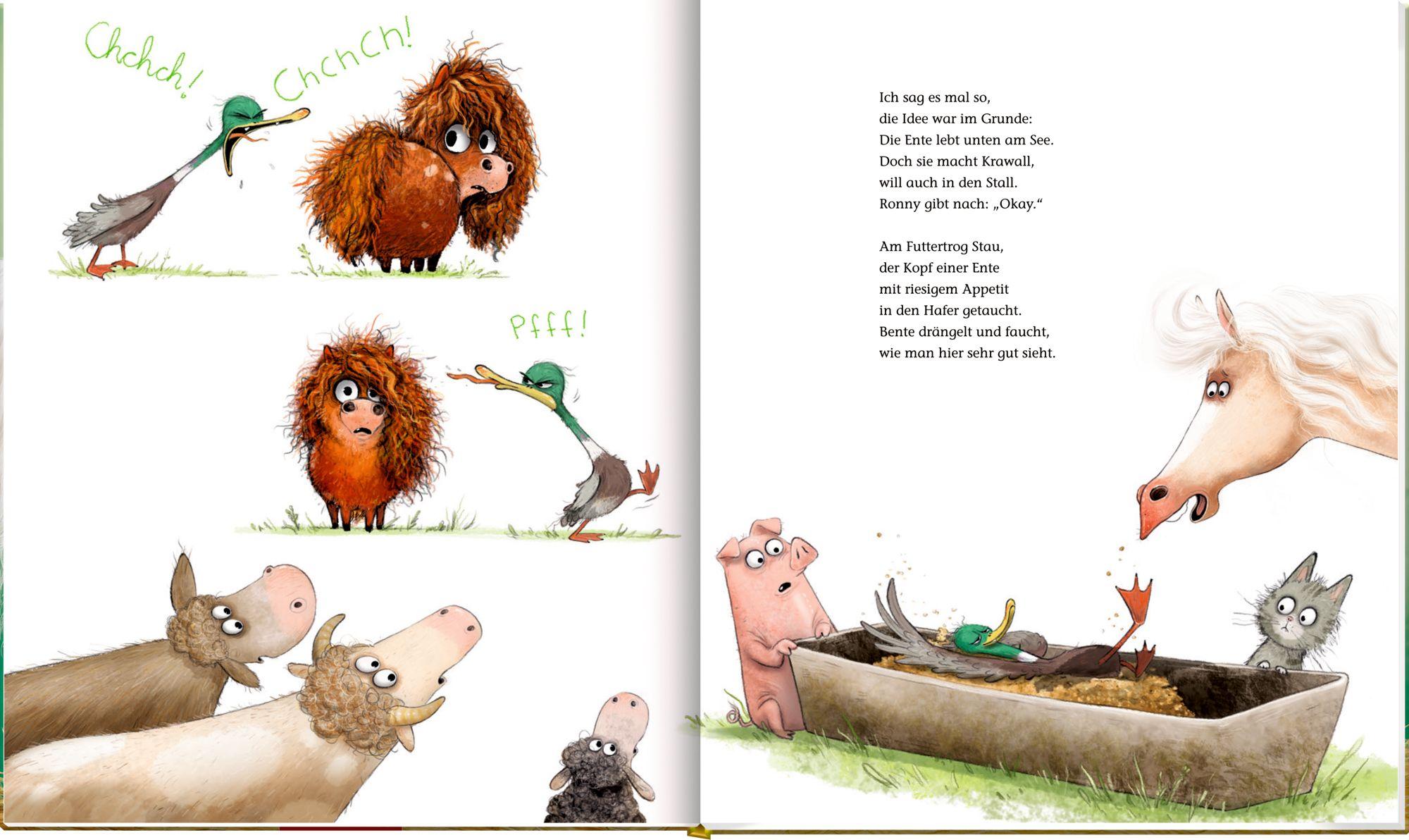 Beispielinhalt (Bild) Ronny, das Pony, (Bd. 2)