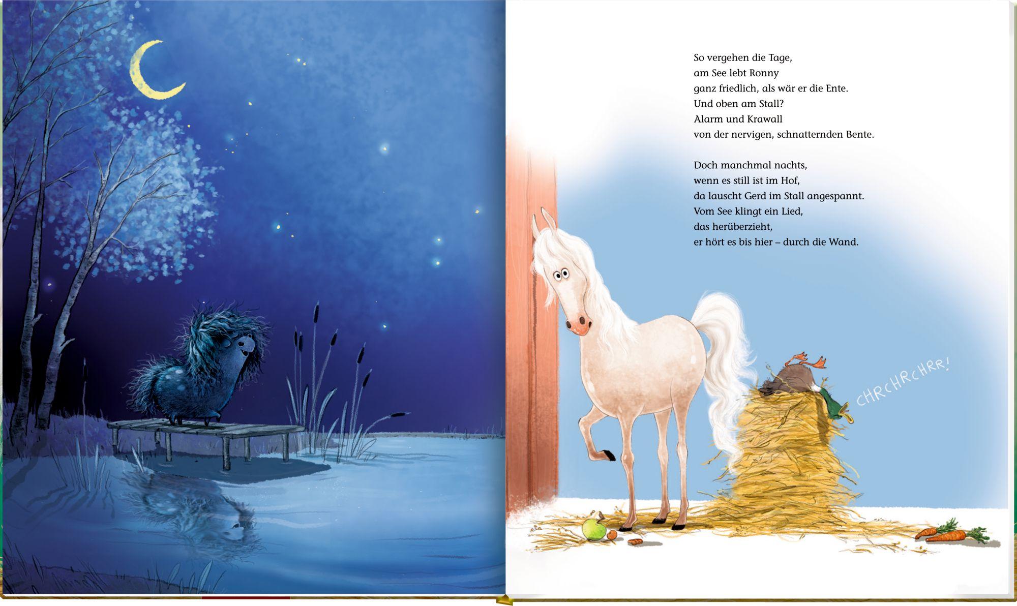 Beispielinhalt (Bild) Ronny, das Pony, (Bd. 2)