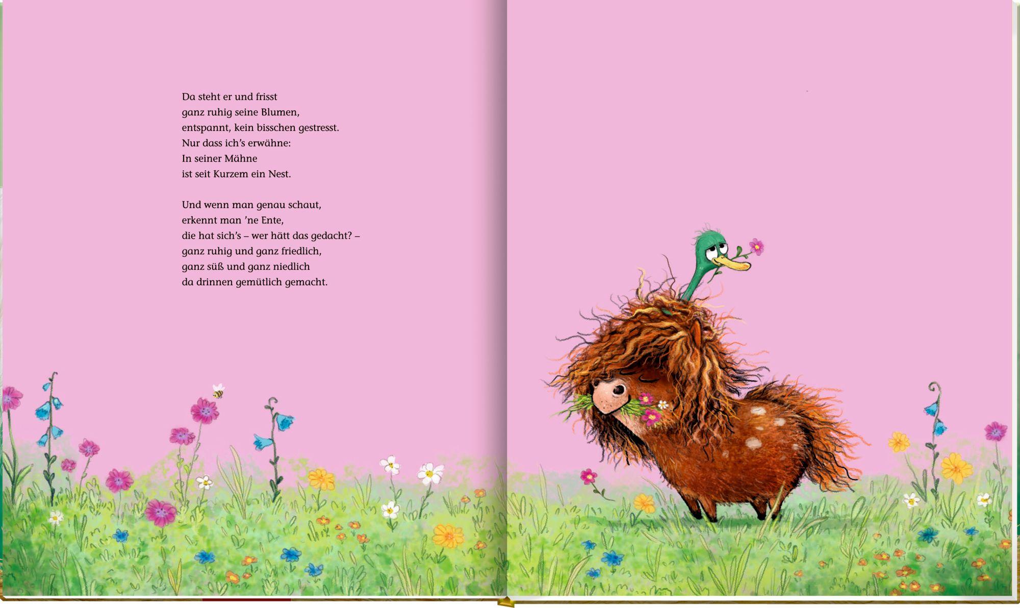 Beispielinhalt (Bild) Ronny, das Pony, (Bd. 2)