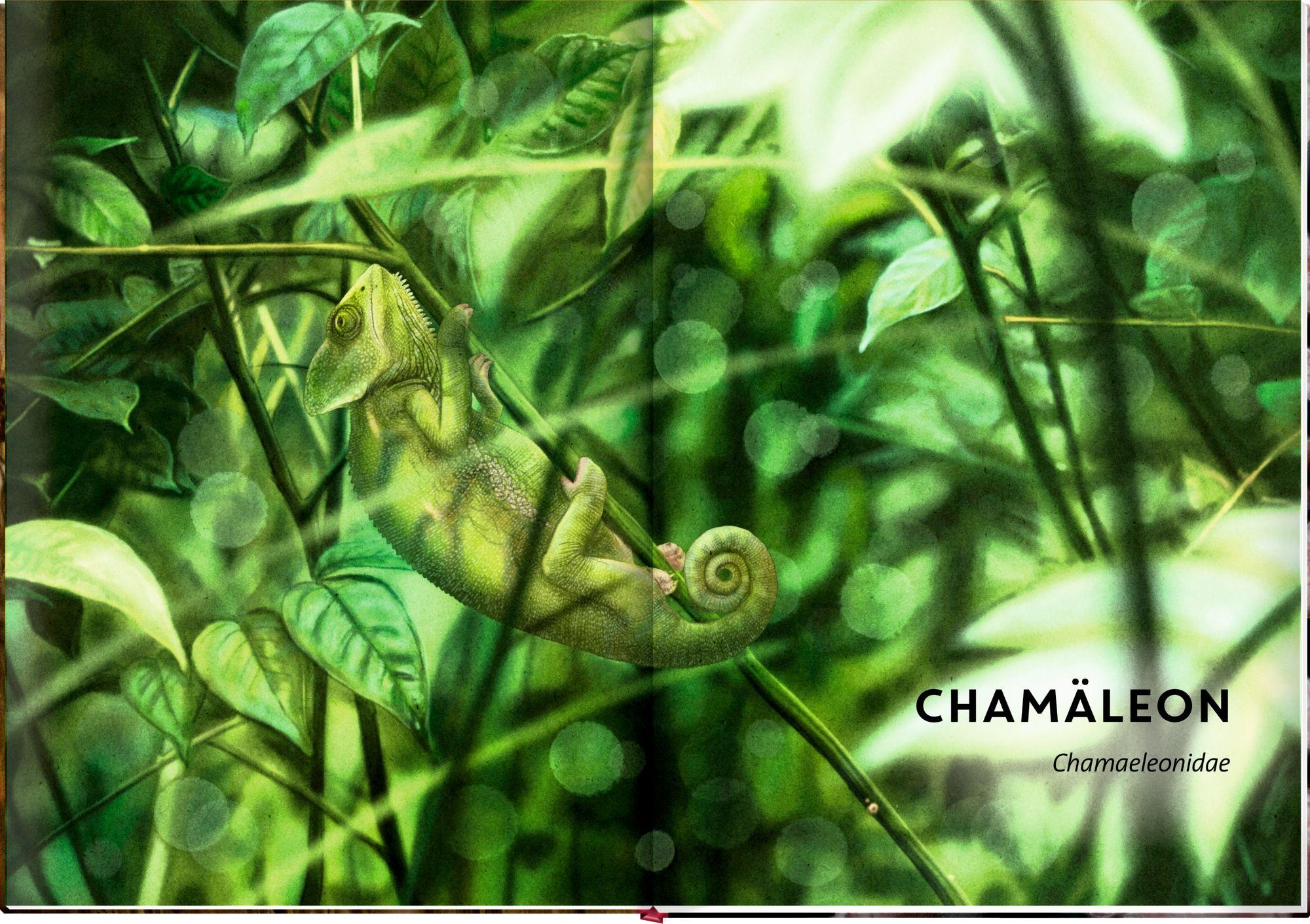 Beispielinhalt (Bild) Unsichtbar