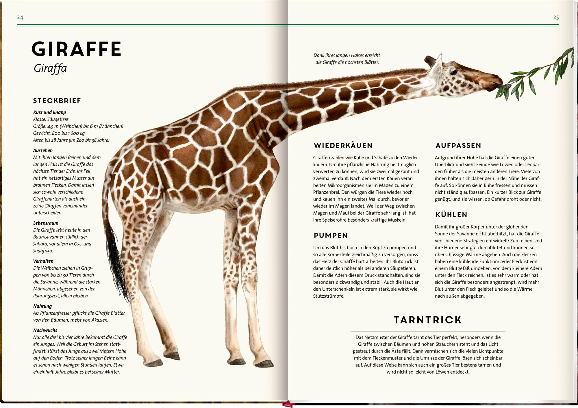 Beispielinhalt (Bild) Unsichtbar