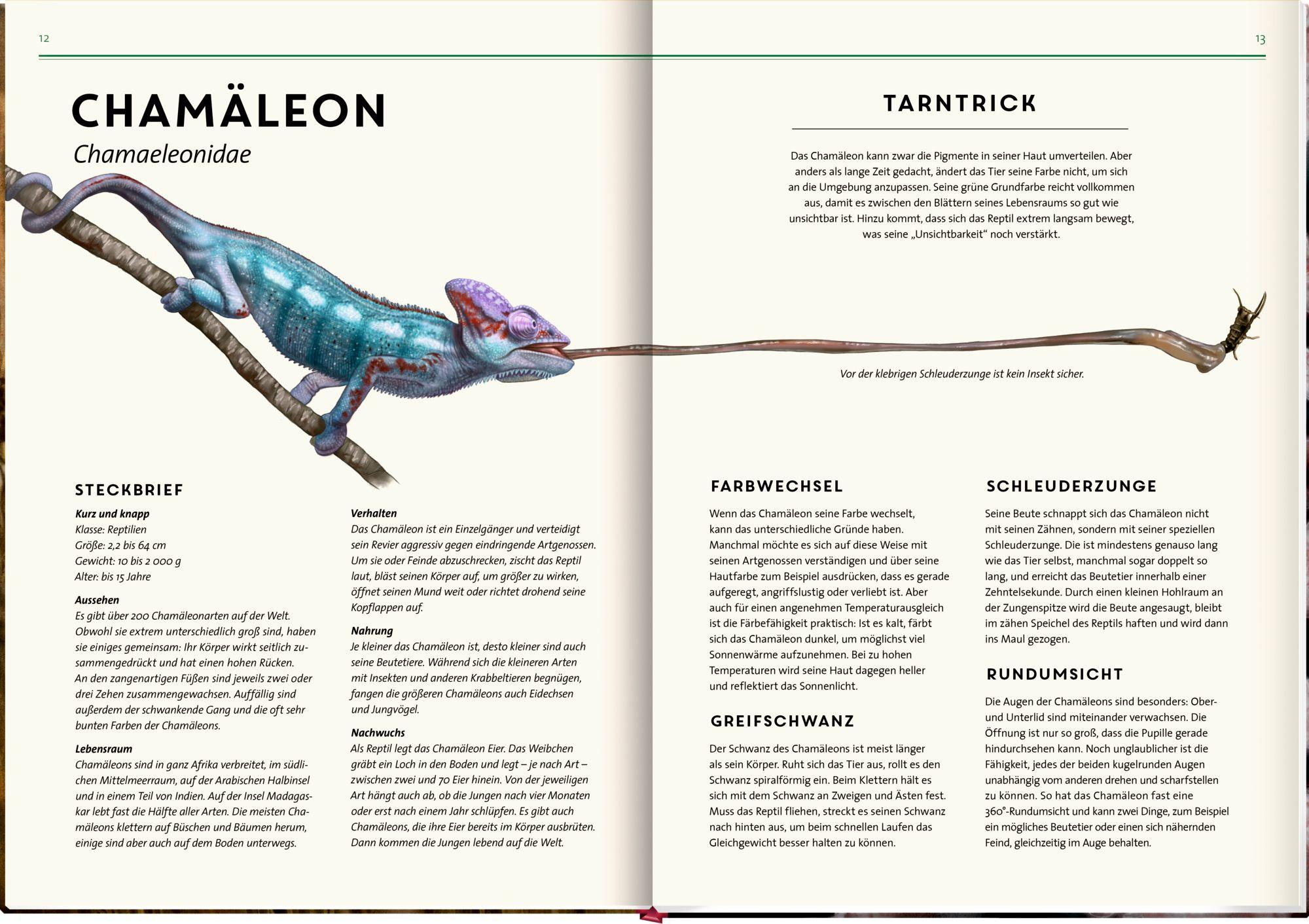 Beispielinhalt (Bild) Unsichtbar