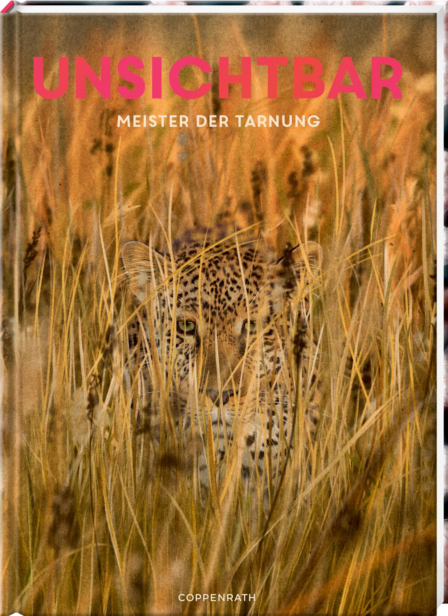 Vorderes Coverbild Unsichtbar