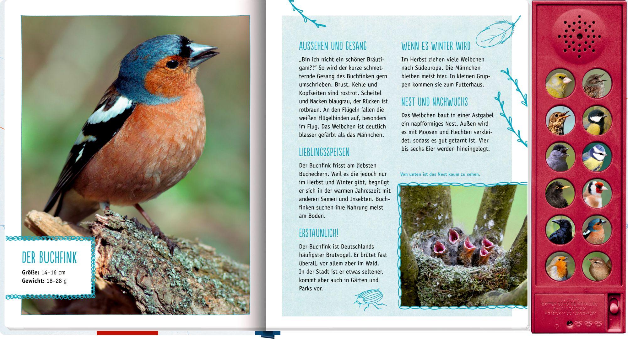 Beispielinhalt (Bild) Vögel in unserem Garten