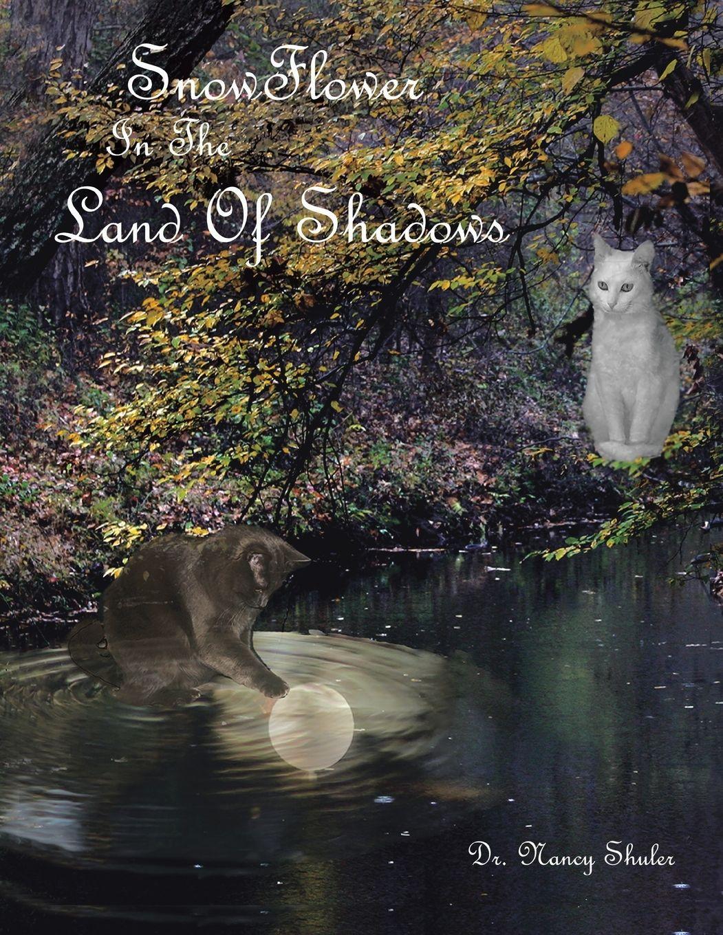 Vorderes Coverbild SnowFlower In The Land Of Shadows