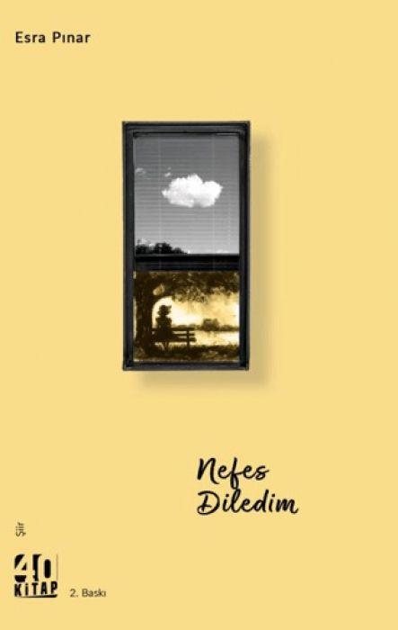 Vorderes Coverbild Nefes Diledim