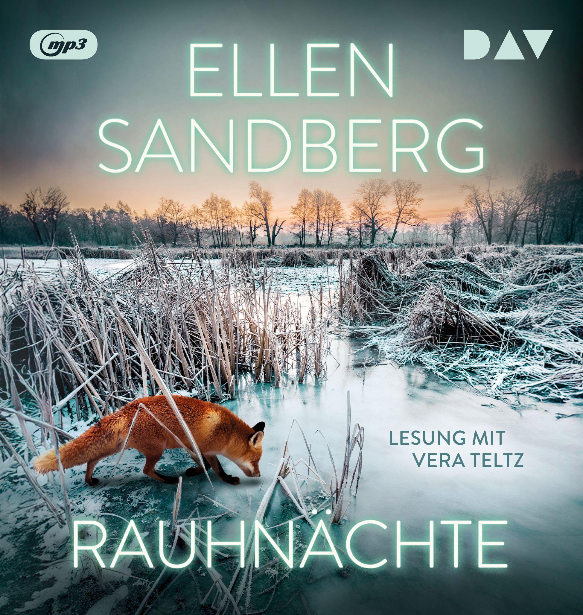 Vorderes Coverbild Rauhnächte