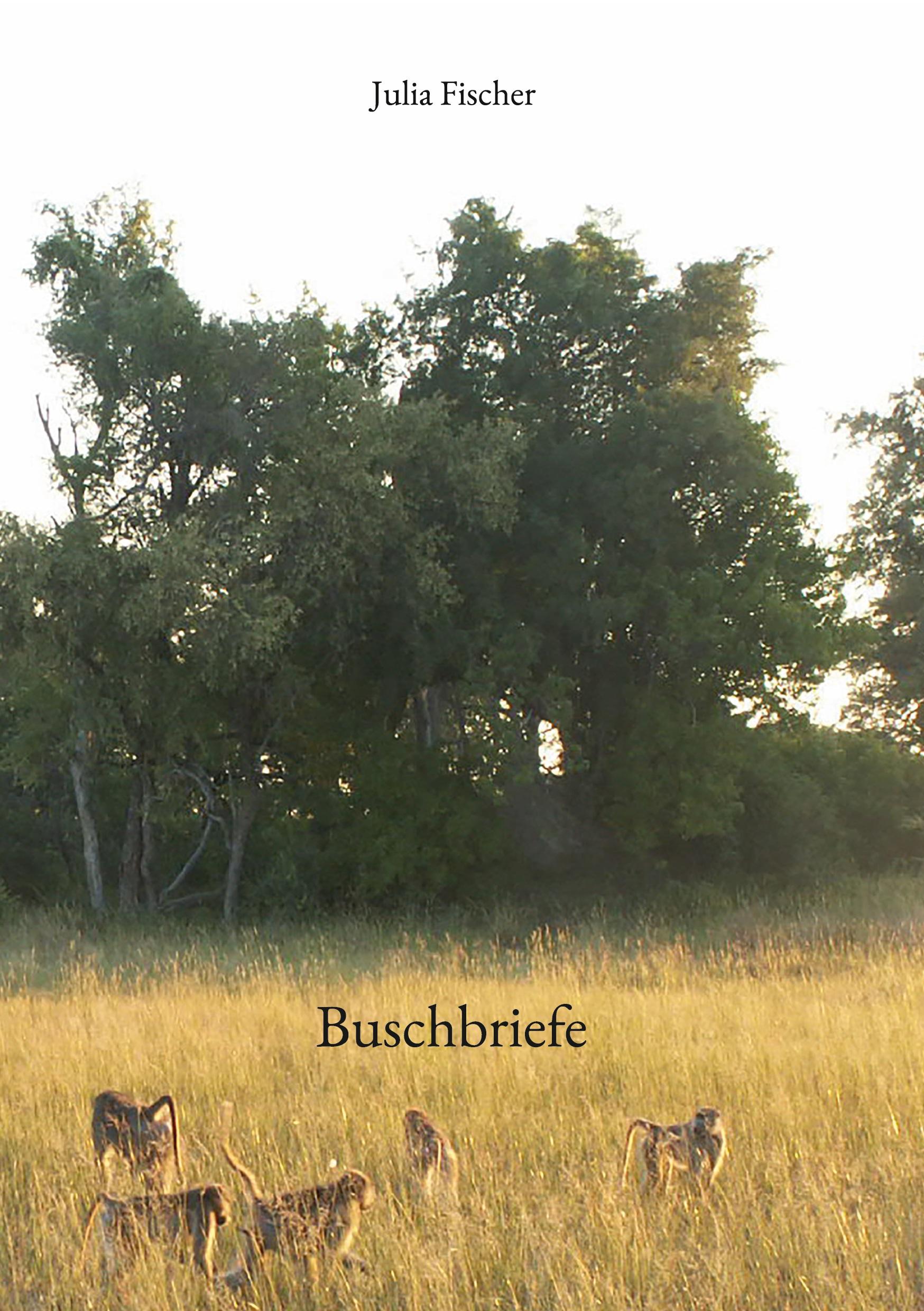 Vorderes Coverbild Buschbriefe