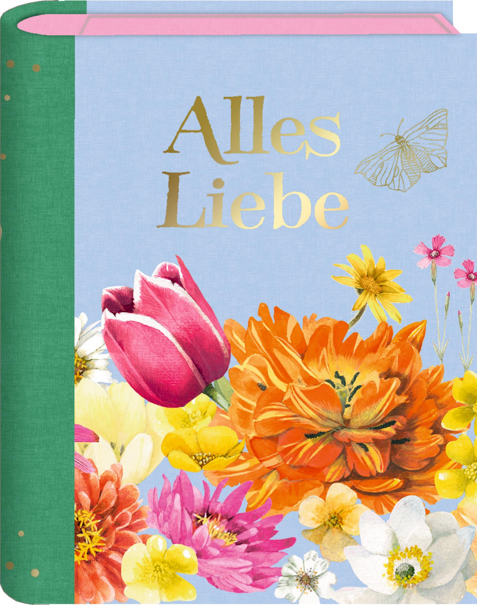 Vorderes Coverbild Wunscherfüller im Buchformat