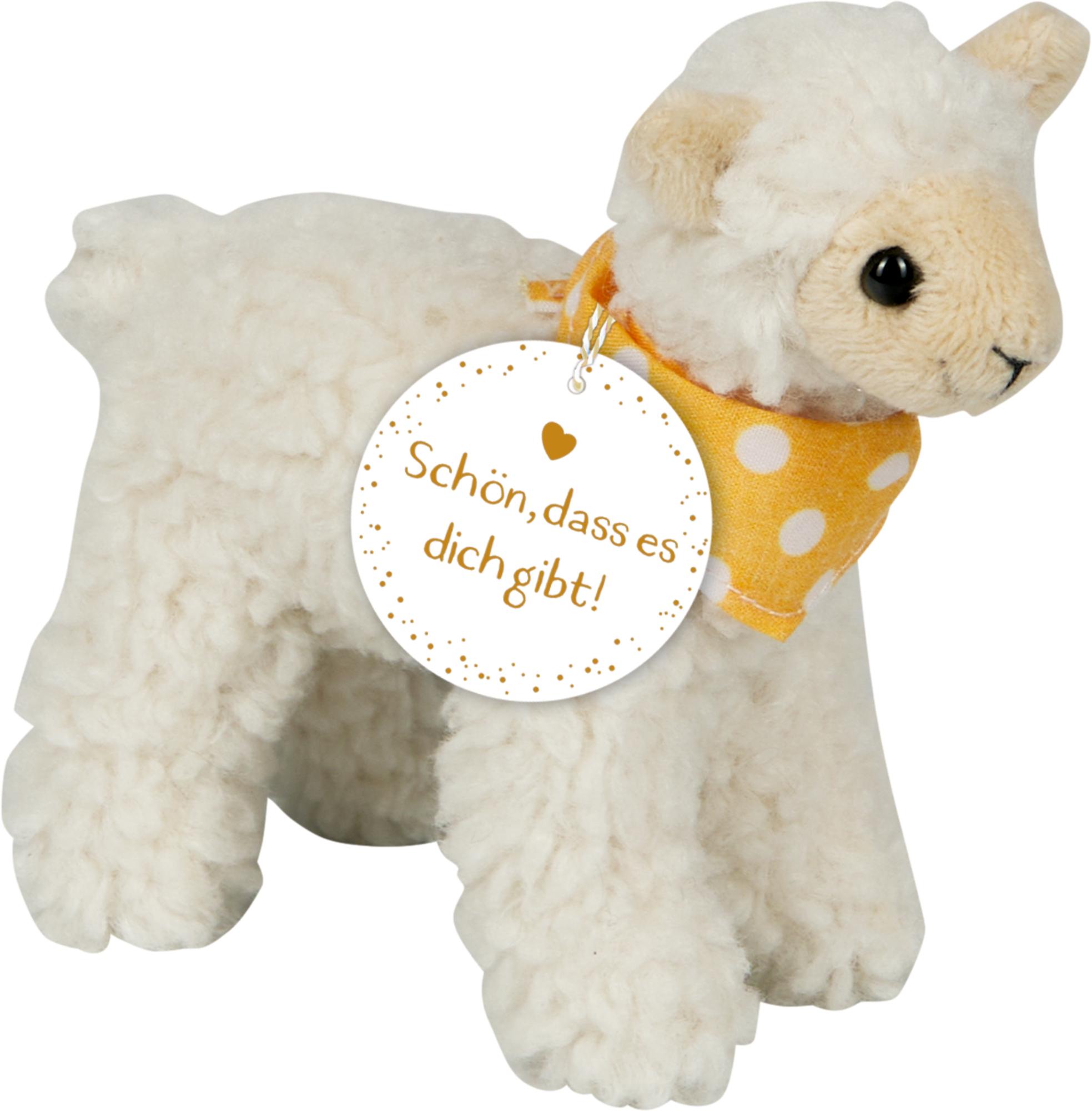 Vorderes Coverbild Plüschlamm - Schön, dass es dich gibt!