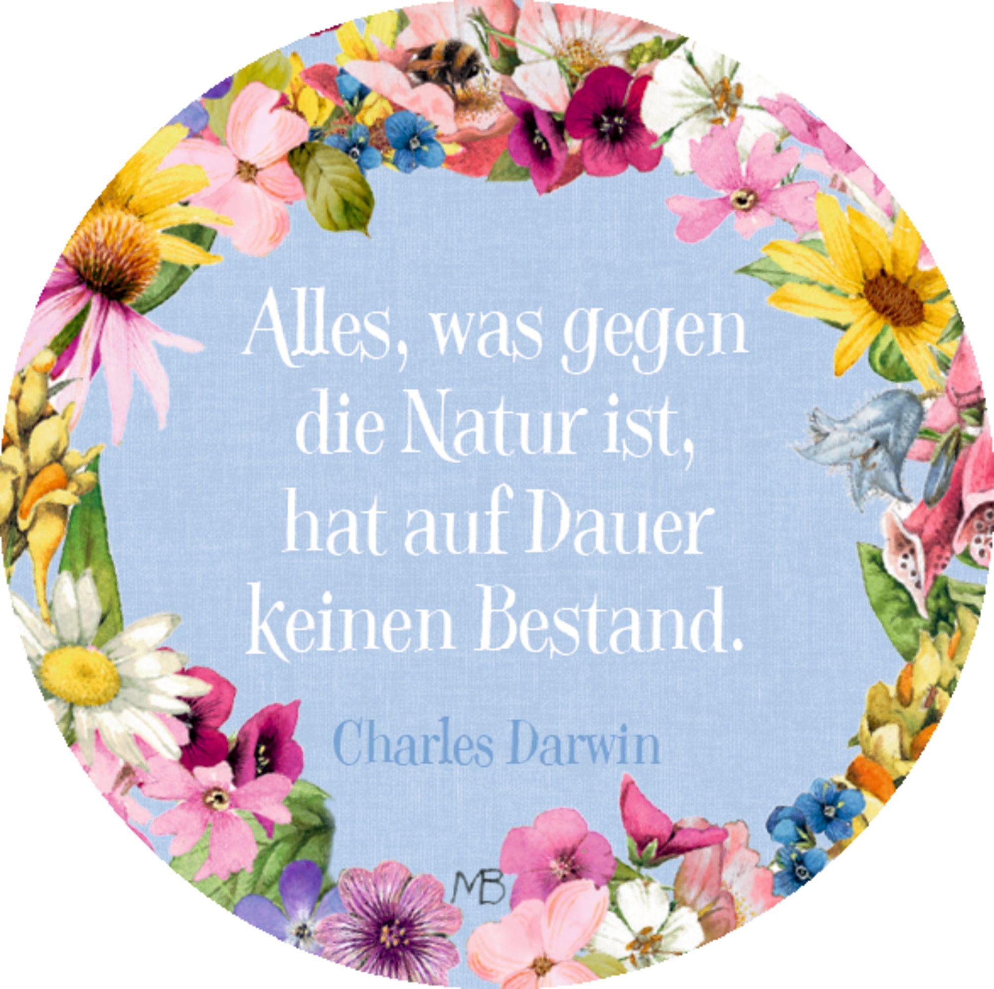Beispielinhalt (Bild) Sprüchedose - Nimm eins!