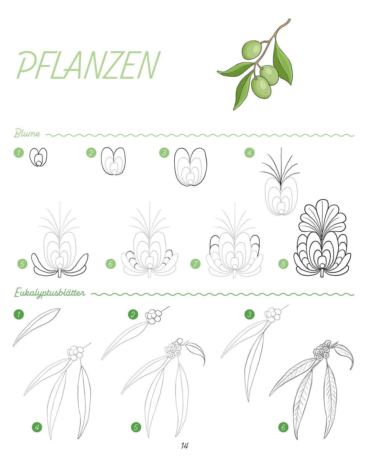 Beispielinhalt (Bild) Die ultimative Motiv-Bibliothek - 1000 x zeichnen
