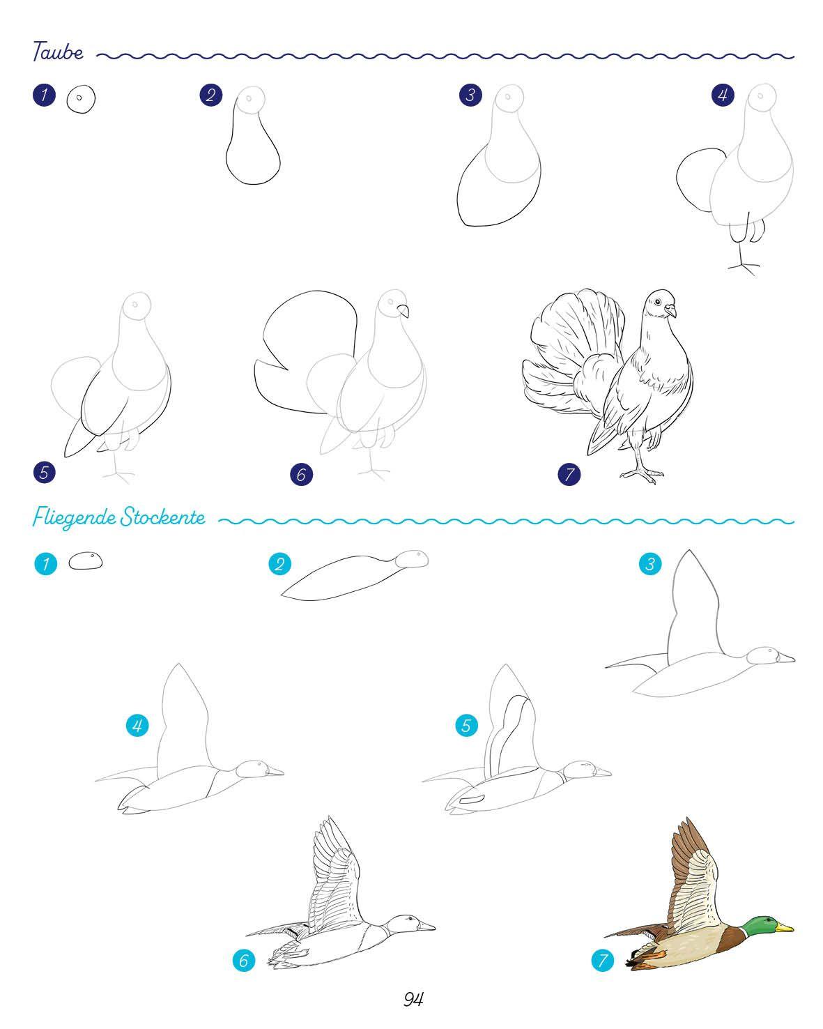 Beispielinhalt (Bild) Die ultimative Motiv-Bibliothek - 1000 x zeichnen