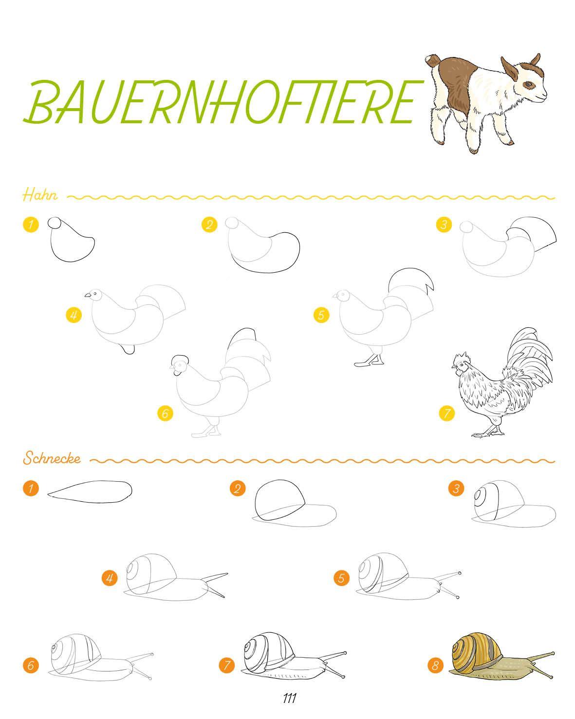 Beispielinhalt (Bild) Die ultimative Motiv-Bibliothek - 1000 x zeichnen