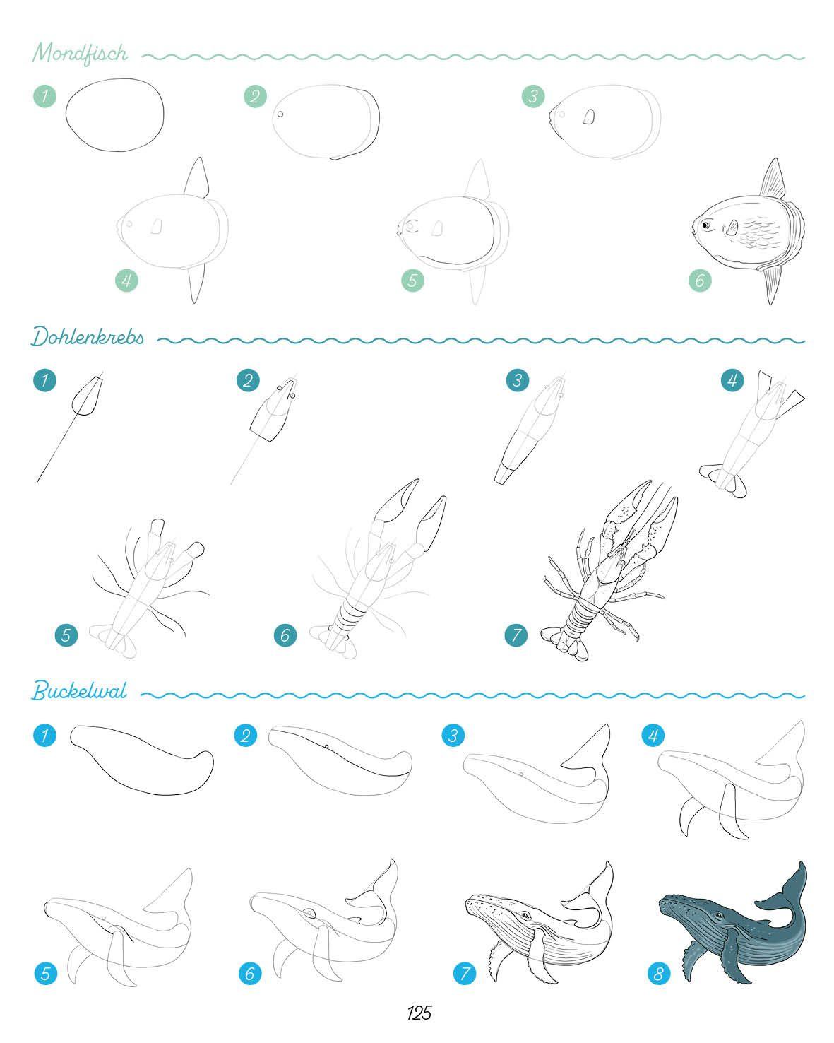 Beispielinhalt (Bild) Die ultimative Motiv-Bibliothek - 1000 x zeichnen