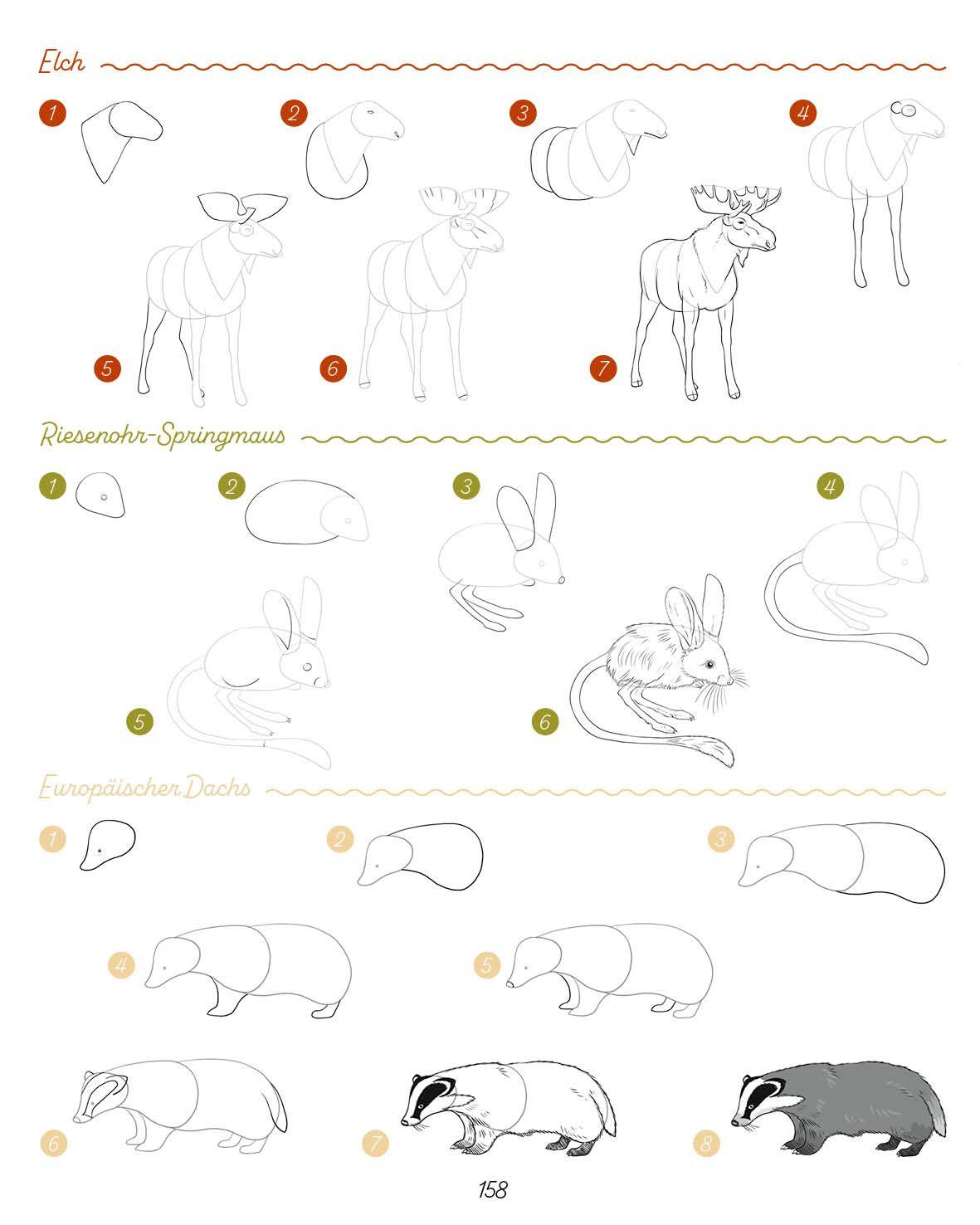 Beispielinhalt (Bild) Die ultimative Motiv-Bibliothek - 1000 x zeichnen