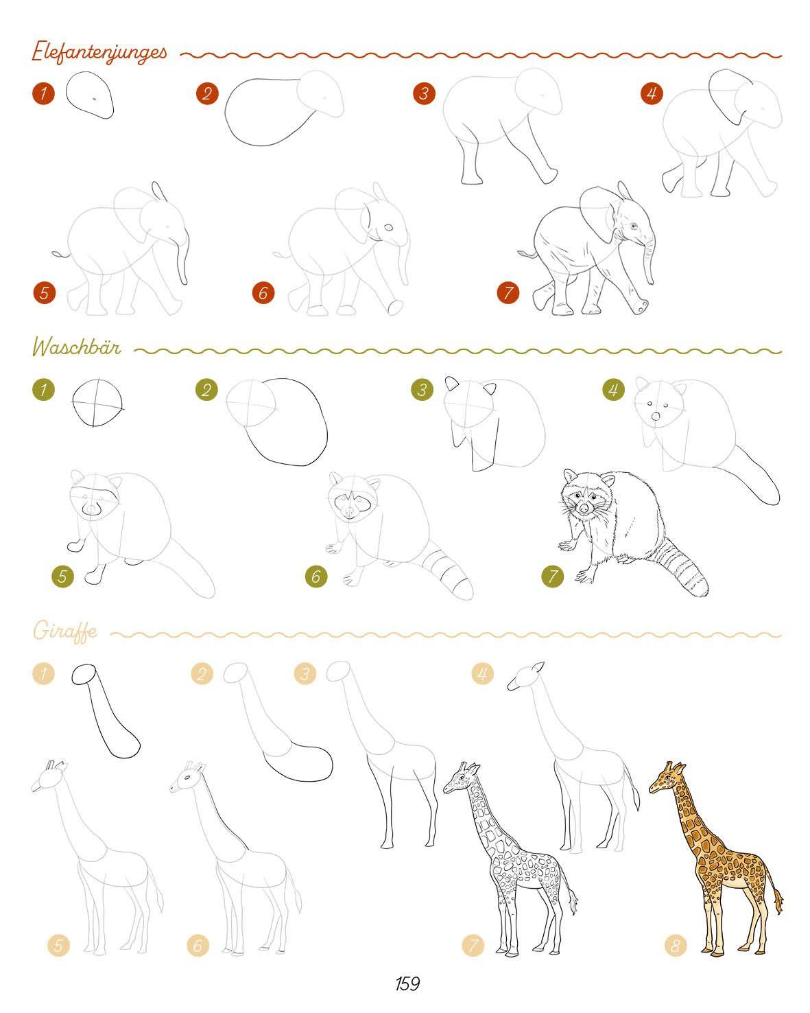 Beispielinhalt (Bild) Die ultimative Motiv-Bibliothek - 1000 x zeichnen